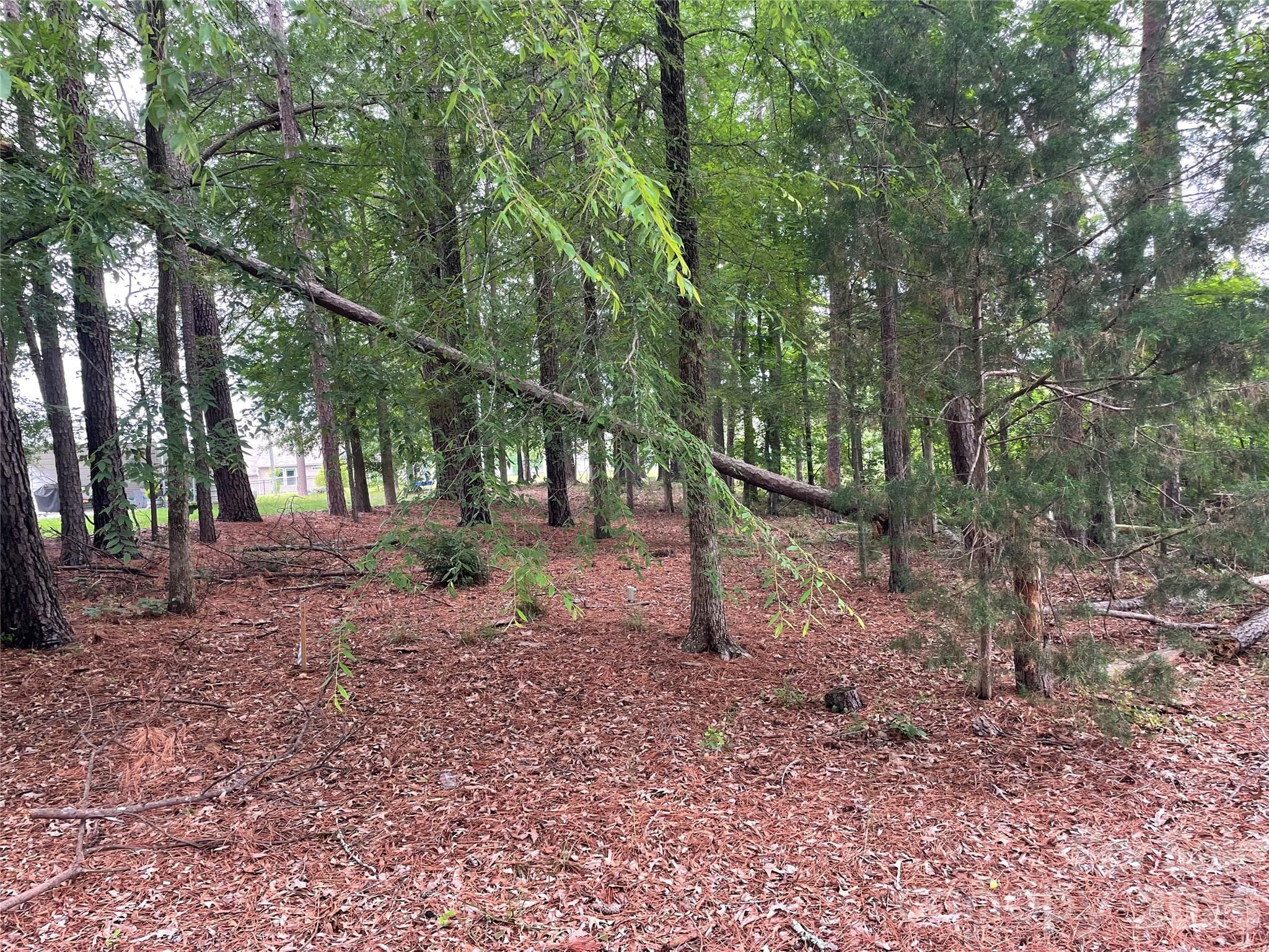 Lot at 13409 Ethelyn Circle, Huntersville, photo 5 of 11