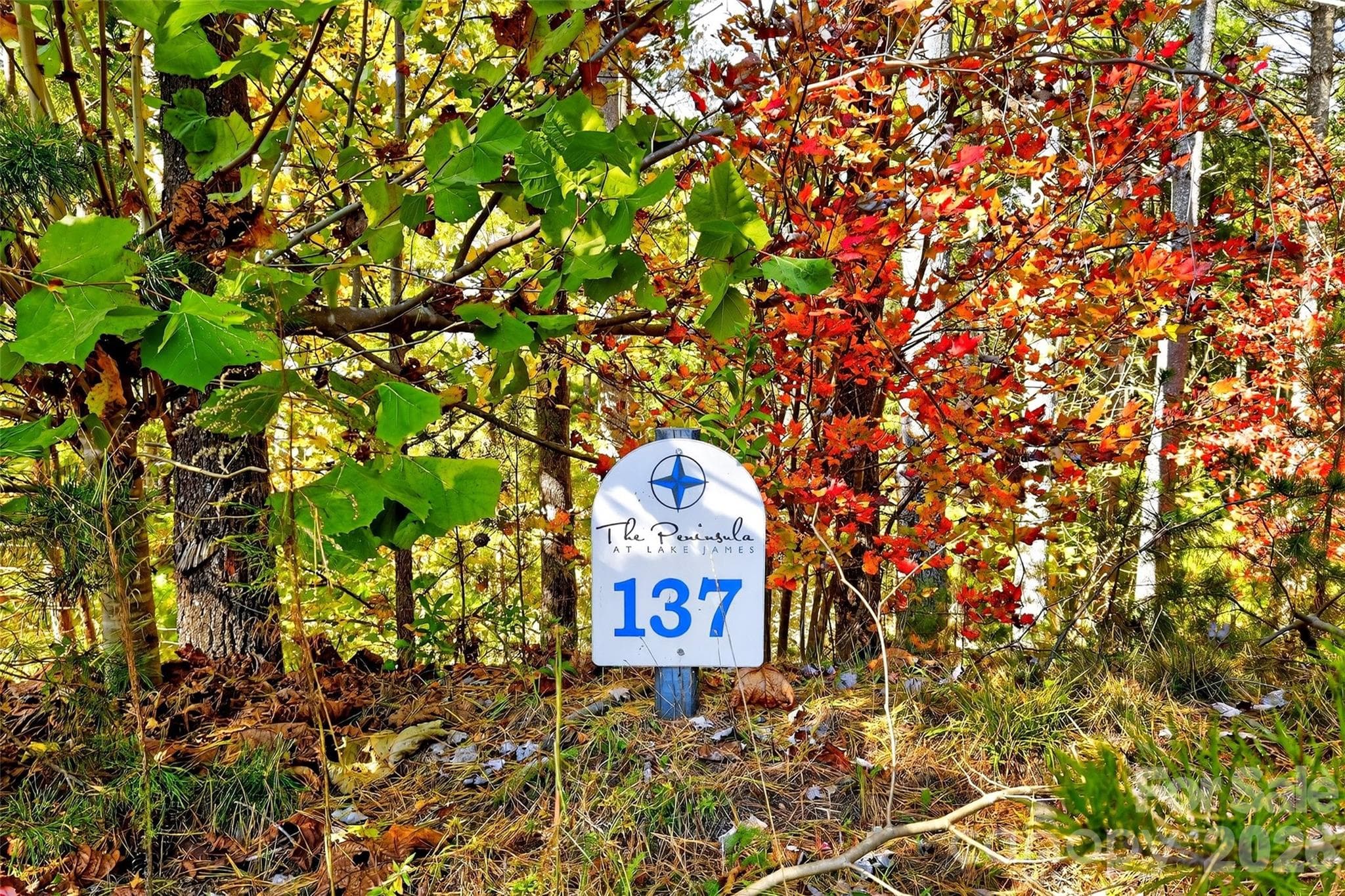 Lot at Nebo, photo 2 of 36