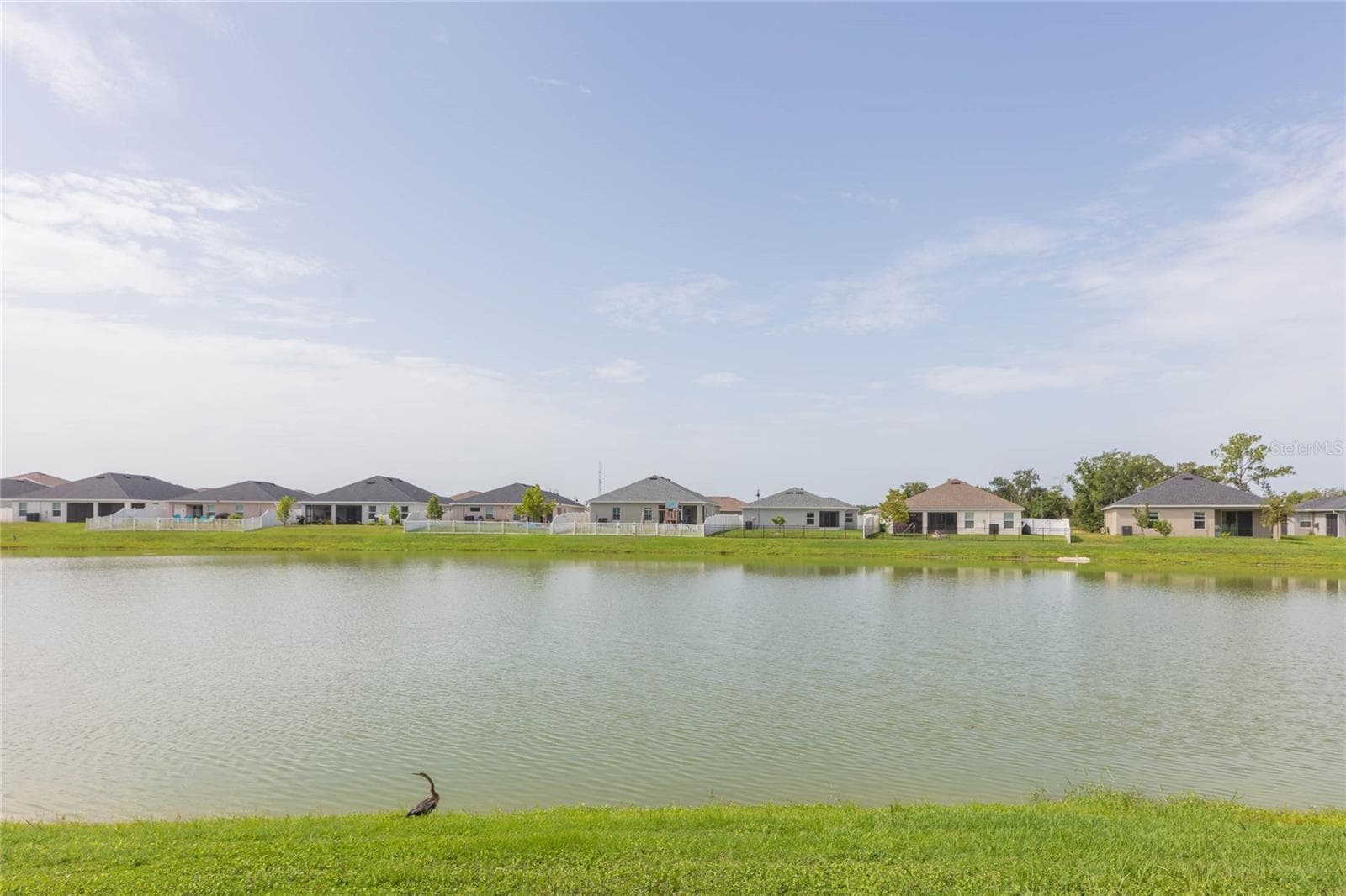 Single Family Residence at 35171 CRESCENT CREEK DR, ZEPHYRHILLS, photo 39 of 62
