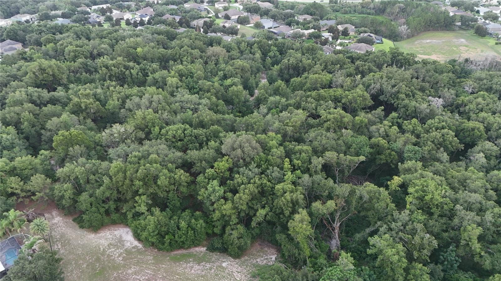 Land at 3016 ROBIE AVE, MOUNT DORA, photo 3 of 4