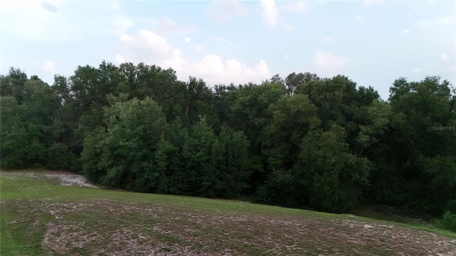 Land at 3016 ROBIE AVE, MOUNT DORA, photo 4 of 4