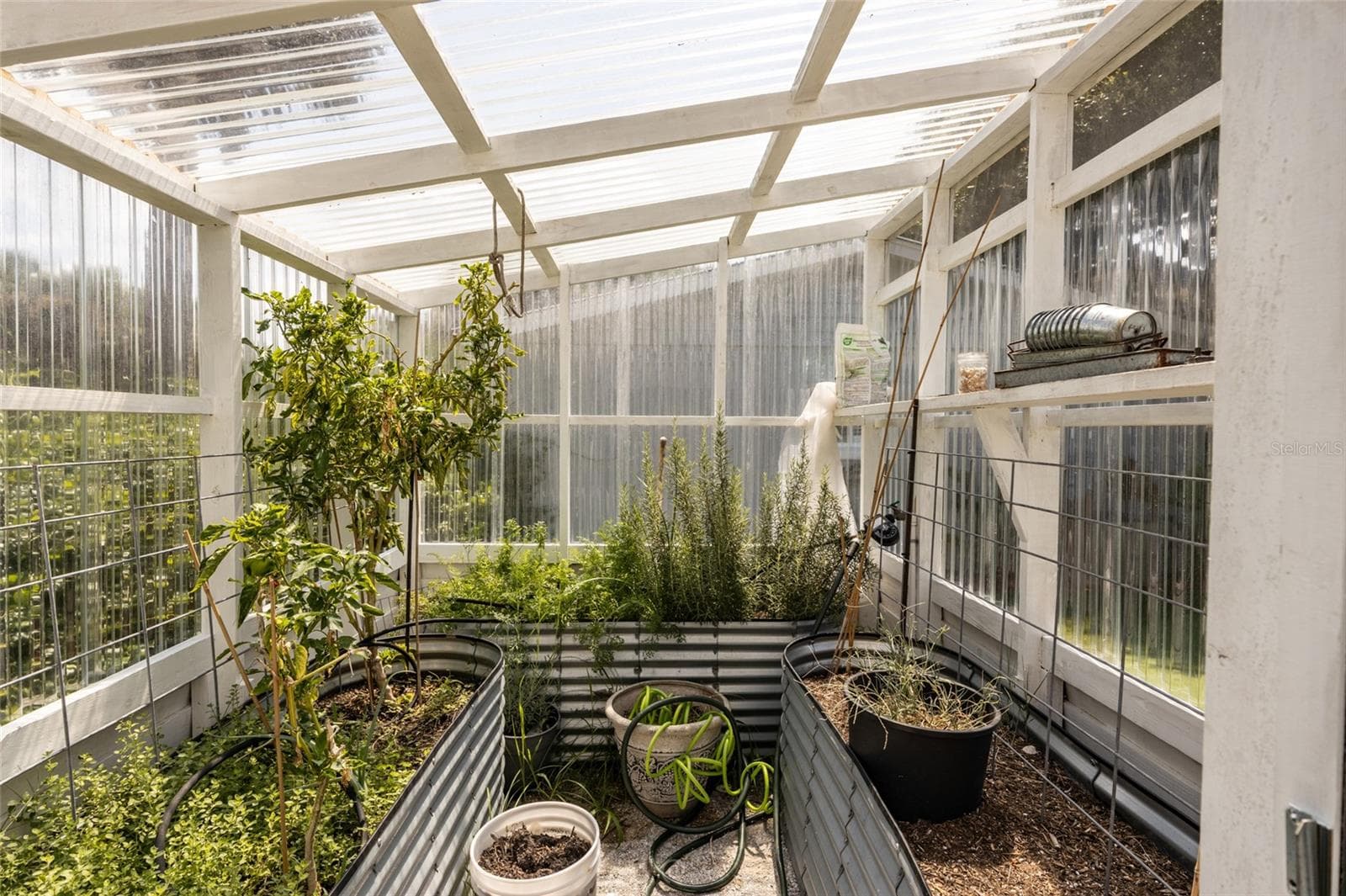 Inside view of the greenhouse - 904 S DAYTONA AVE, FLAGLER BEACH