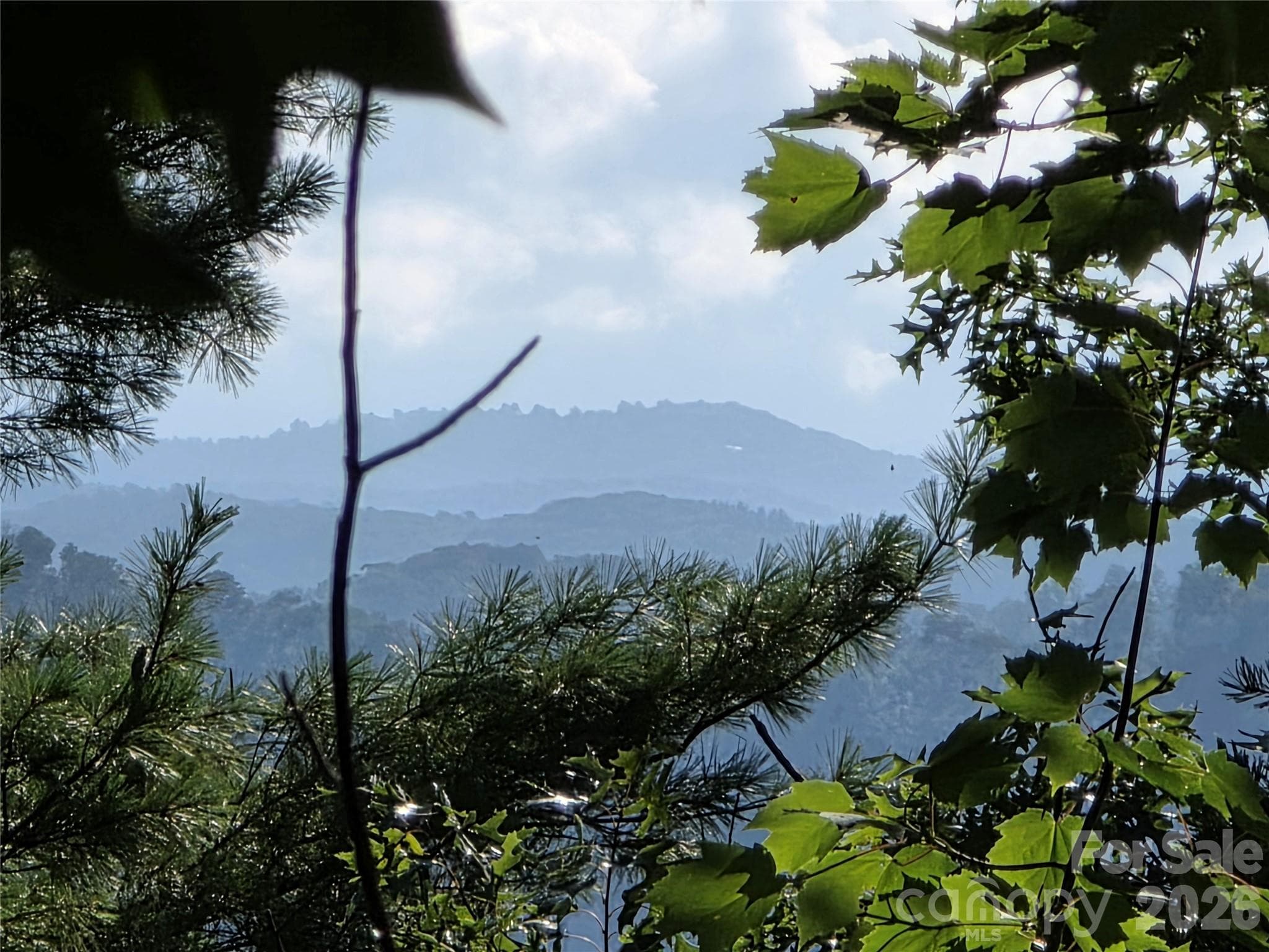 Portion of the mountain view seen from the lot - Lot 73 Fawn Lane, Marion