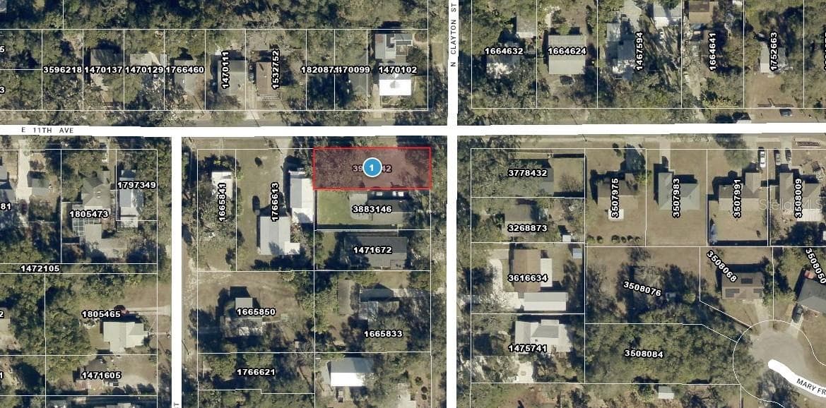 Arial view - CLAYTON ST N, MOUNT DORA
