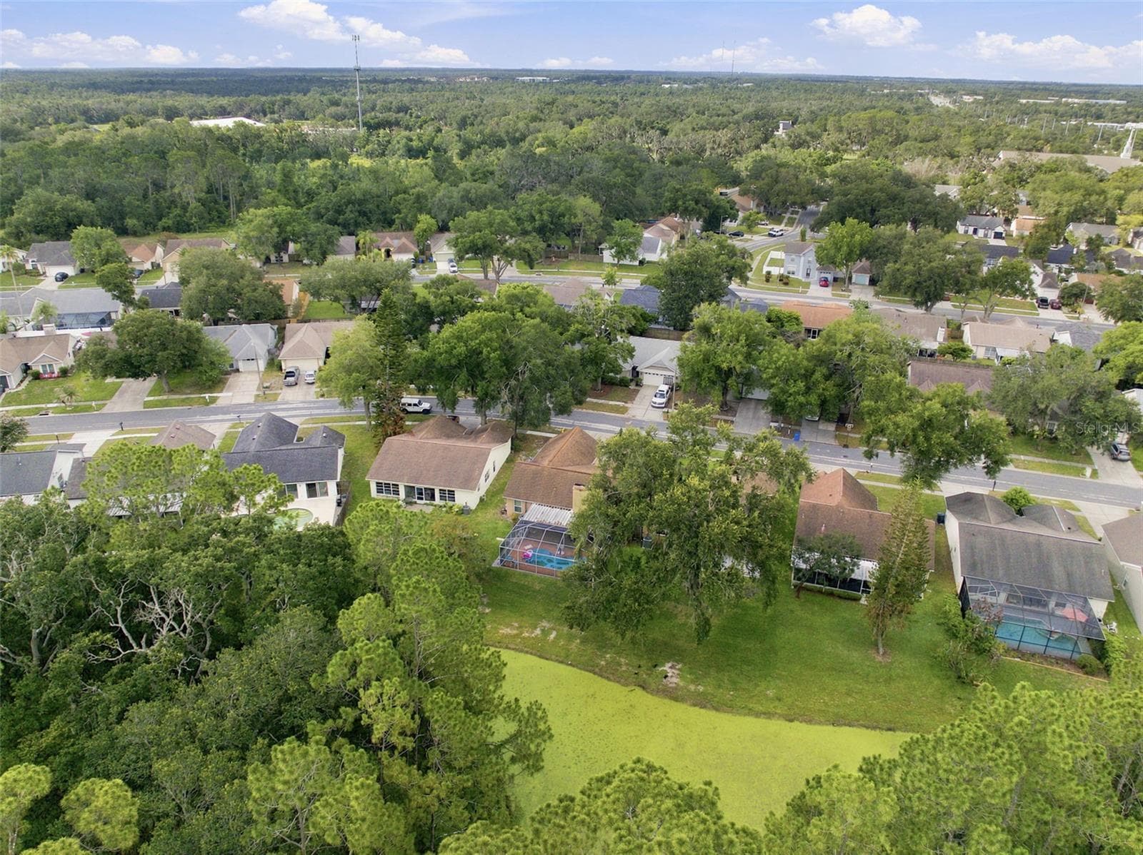Single Family Residence at 1014 HARDWOOD DR, VALRICO, photo 43 of 48