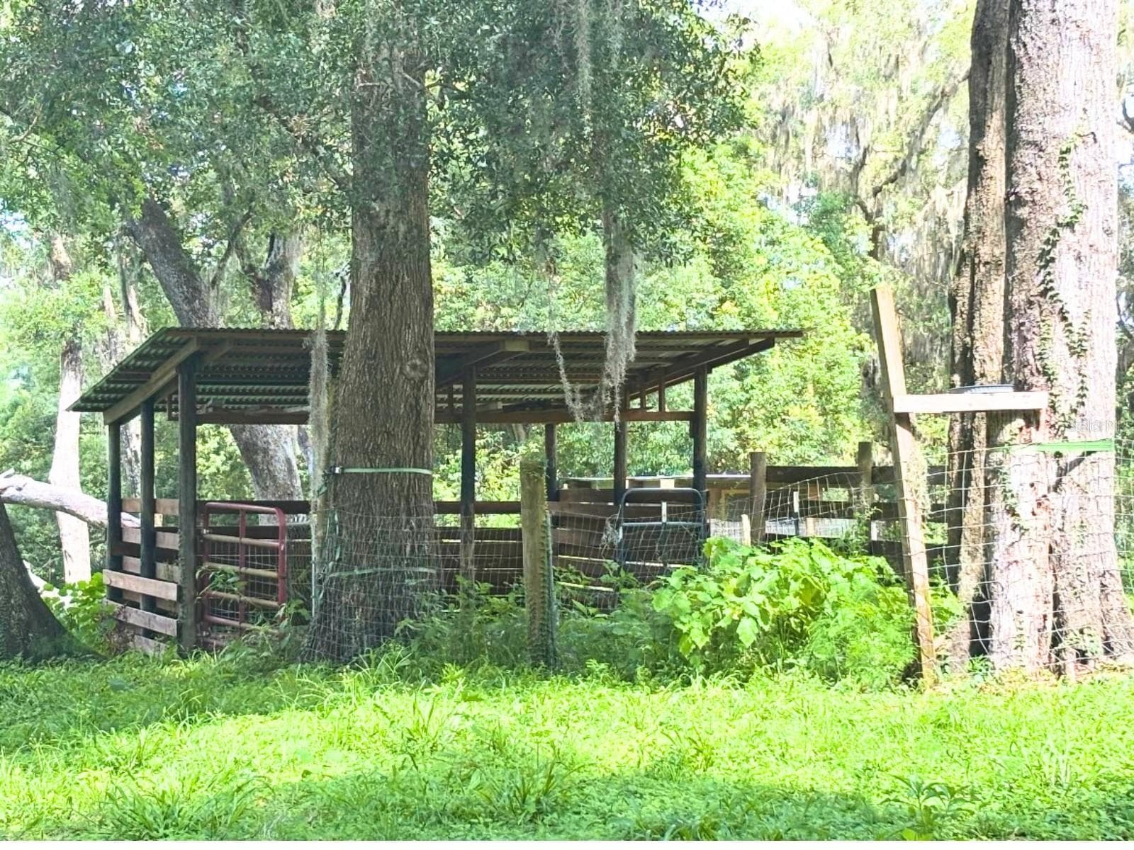 Land at 2095 STONE RD, DELAND, photo 4 of 35