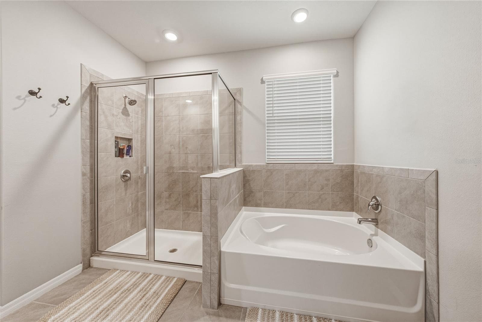 Single Family Residence at 8382 BOWER BASS CIR, WESLEY CHAPEL, photo 36 of 79