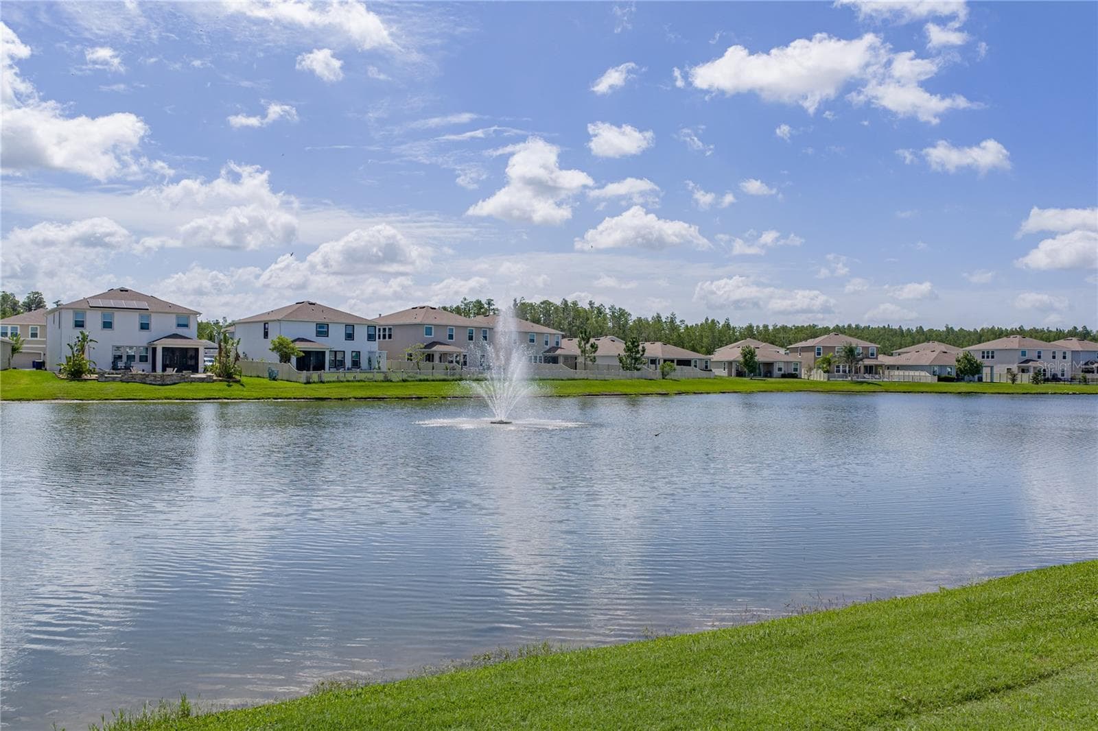 Single Family Residence at 8382 BOWER BASS CIR, WESLEY CHAPEL, photo 59 of 79