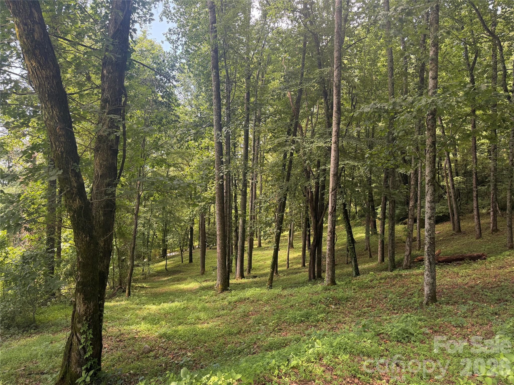 89 Split Rock Trail