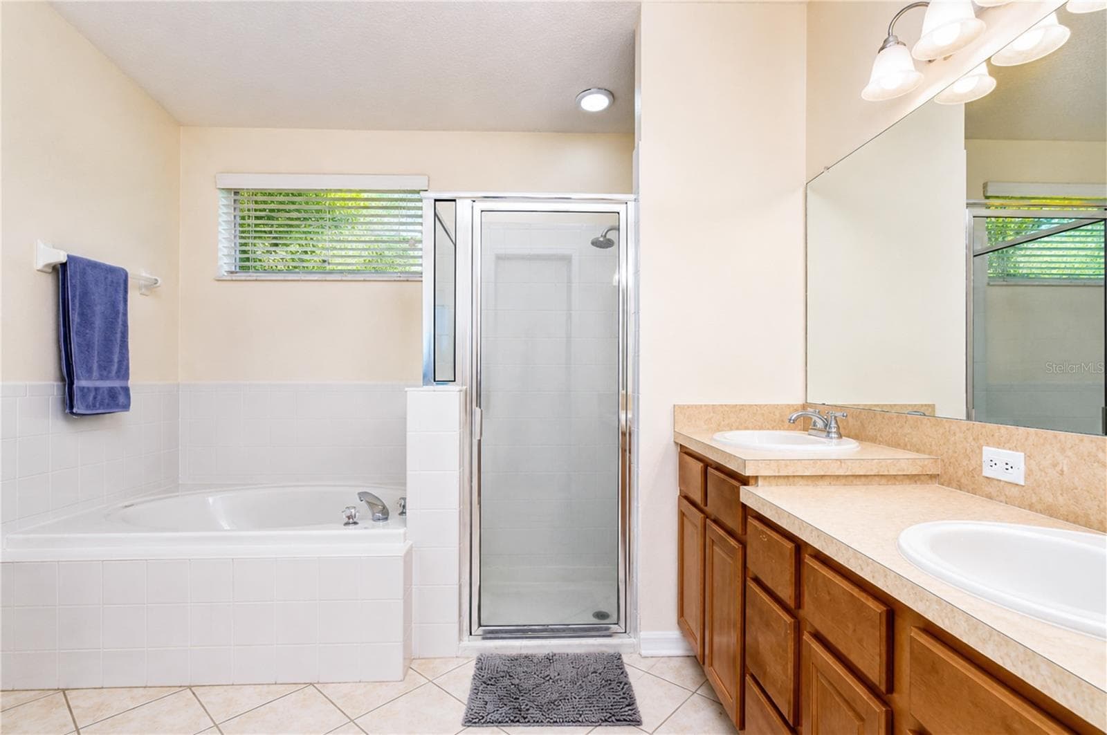 Relaxing garden tub. - 6209 GANNETDALE DR, LITHIA