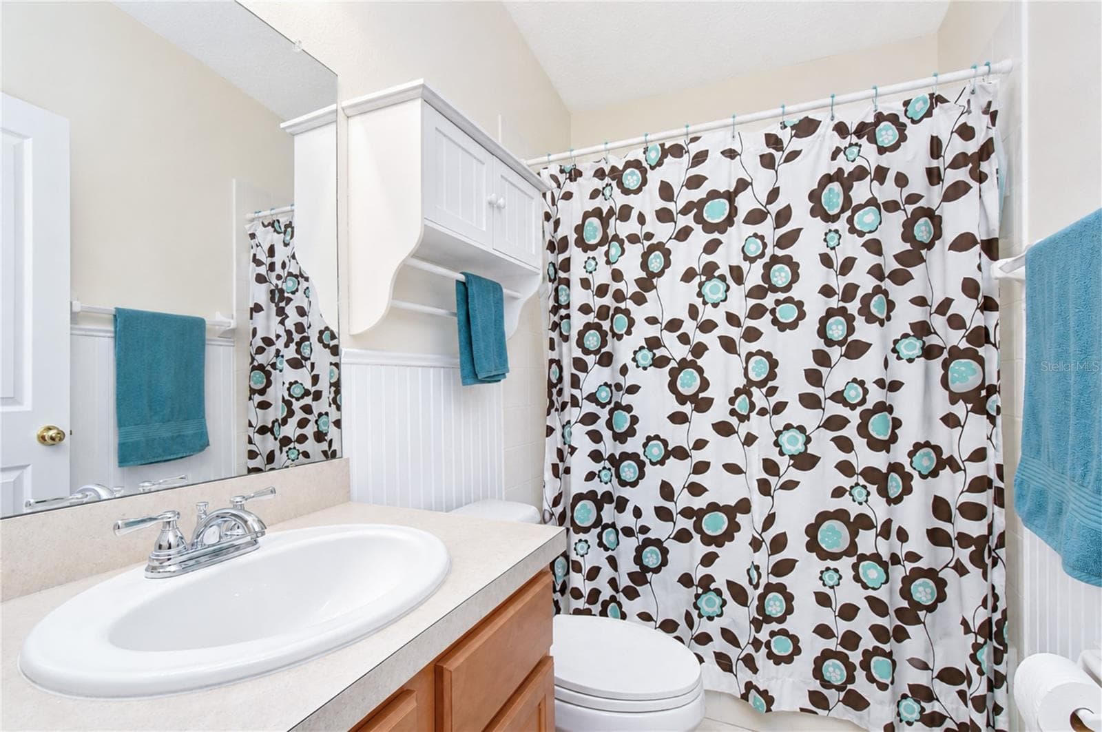 Full secondary bathroom. - 6209 GANNETDALE DR, LITHIA