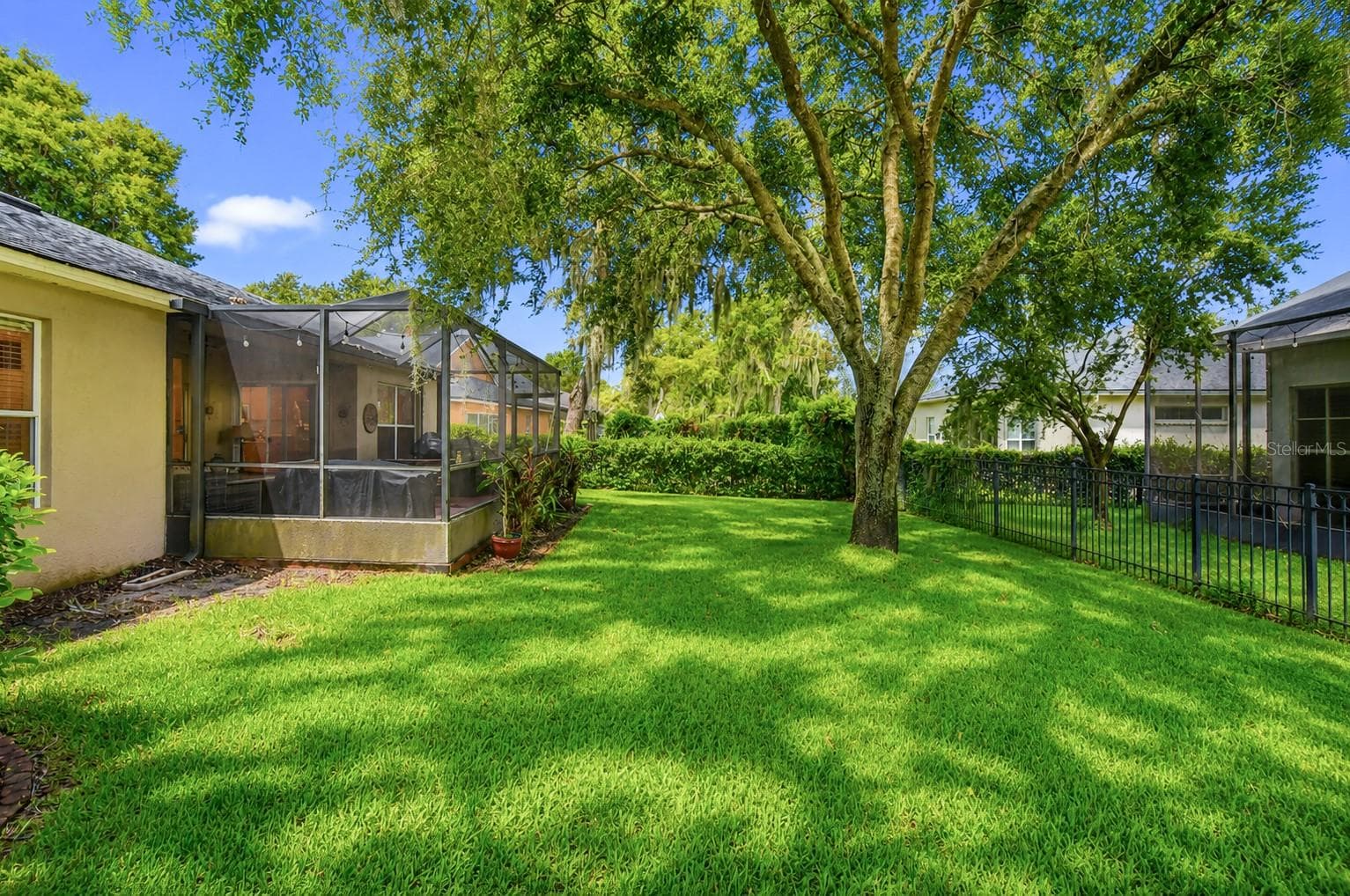 Backyard View - 6209 GANNETDALE DR, LITHIA