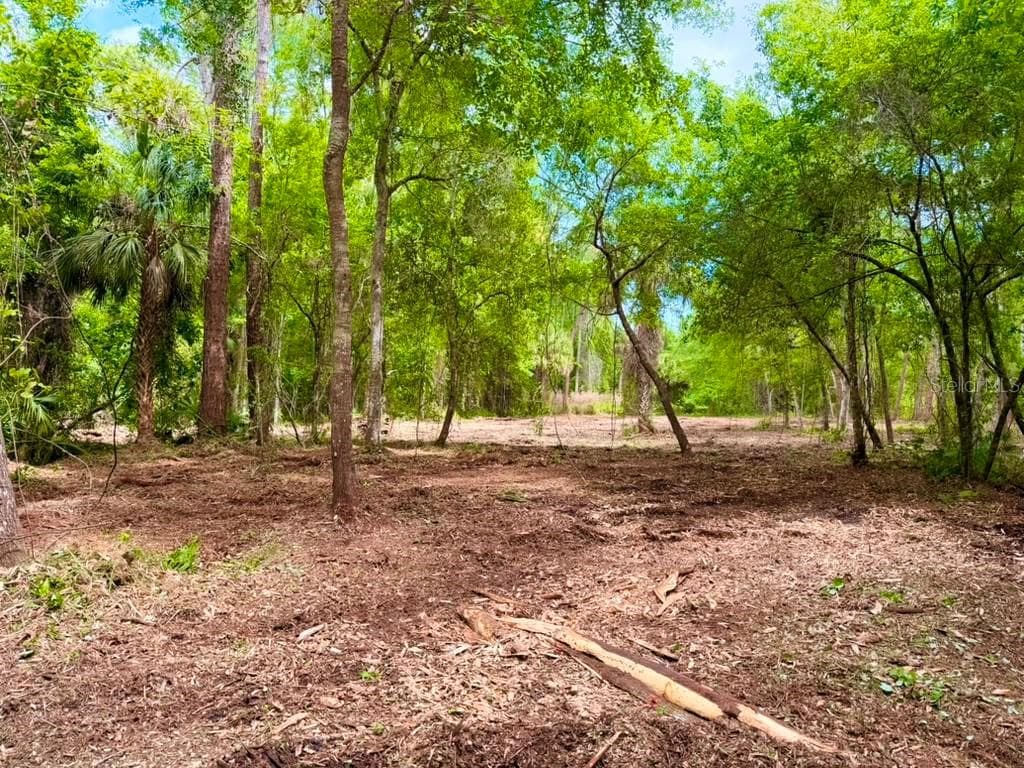Land at 8401 AMELIA TRL, KISSIMMEE, photo 22 of 23