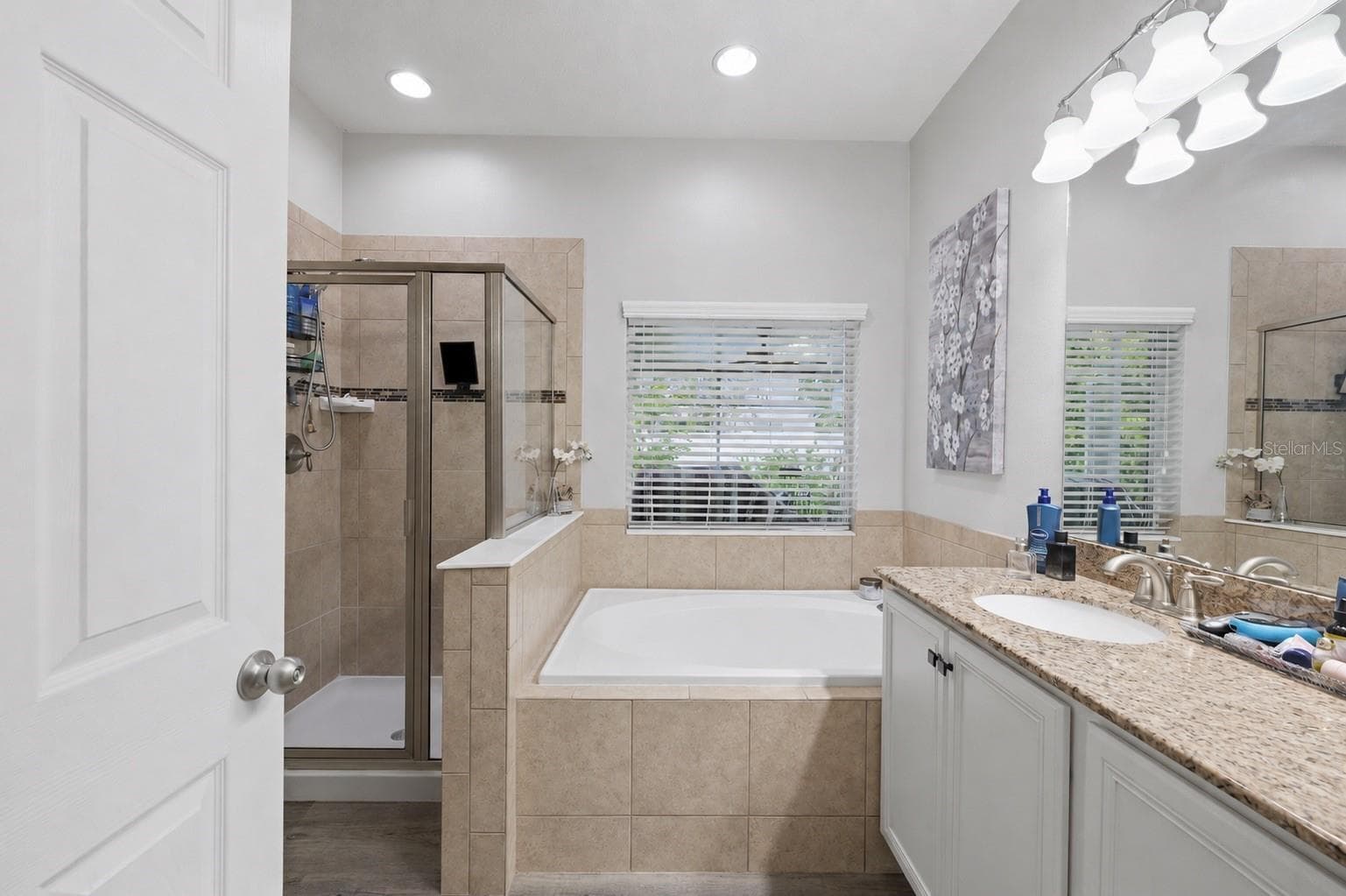 Single Family Residence at 2814 MAPLE BROOK LOOP, LUTZ, photo 19 of 54