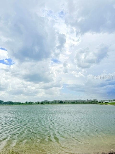 Single Family Residence at 2579 SAGE VALLEY WAY, WINTER HAVEN, photo 31 of 36