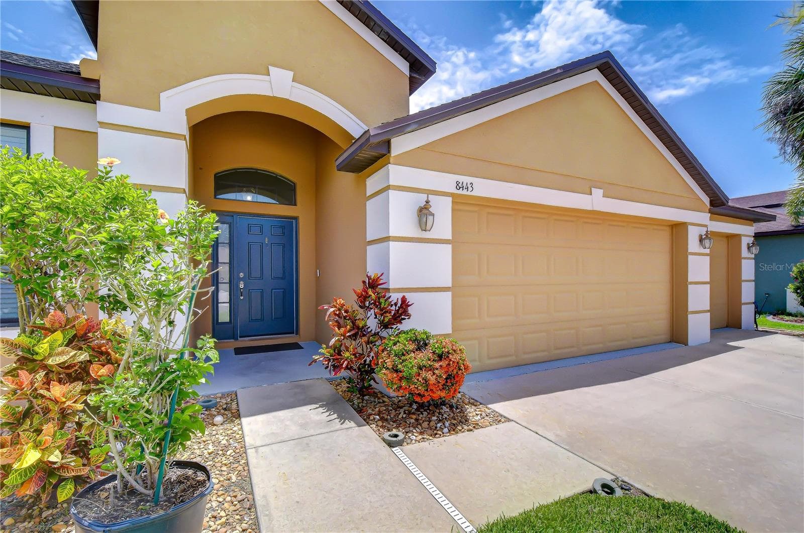 Single Family Residence at 8443 WHITE POPLAR DR, RIVERVIEW, photo 4 of 105