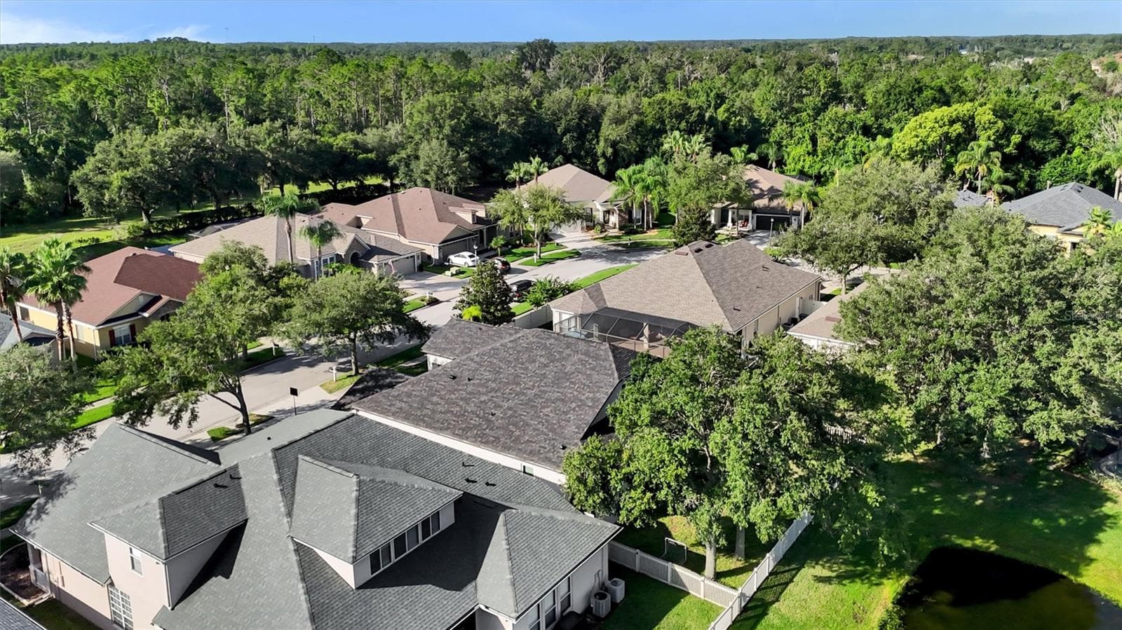 Aerial View - 7136 DERWENT GLEN CIR, LAND O LAKES