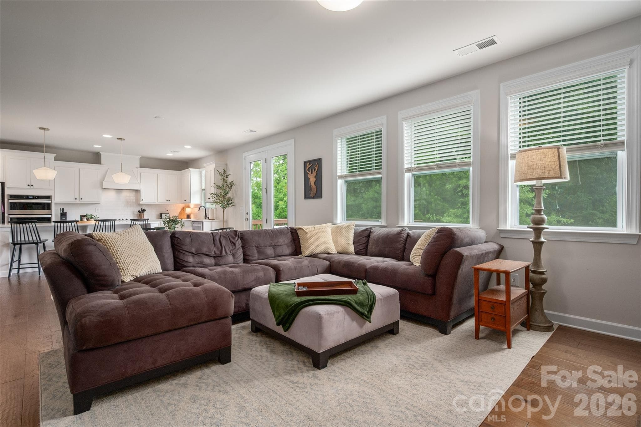 Single Family Residence at 438 Sandbar Point, Clover, photo 3 of 48