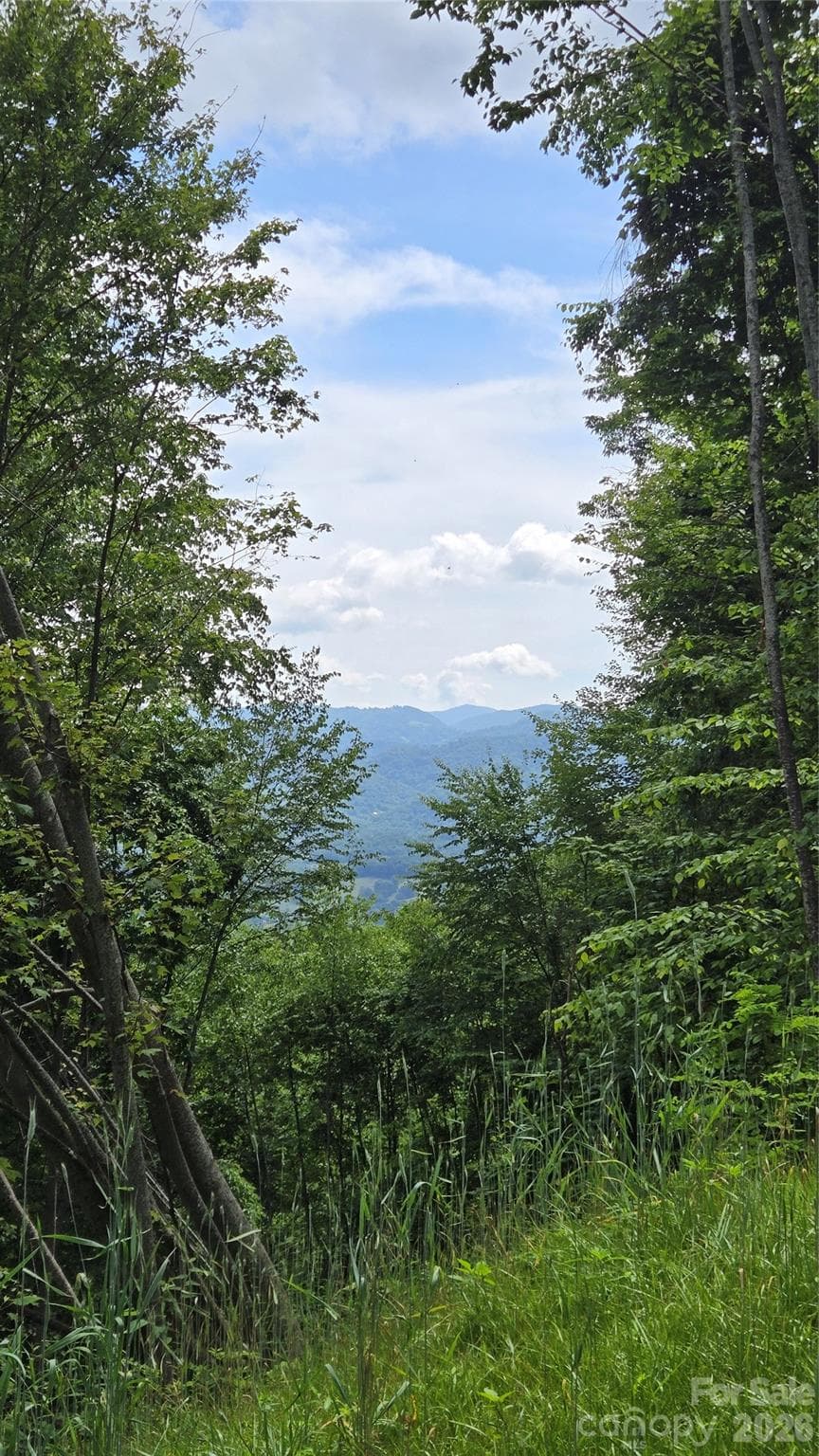 Lot at Waynesville, photo 4 of 26