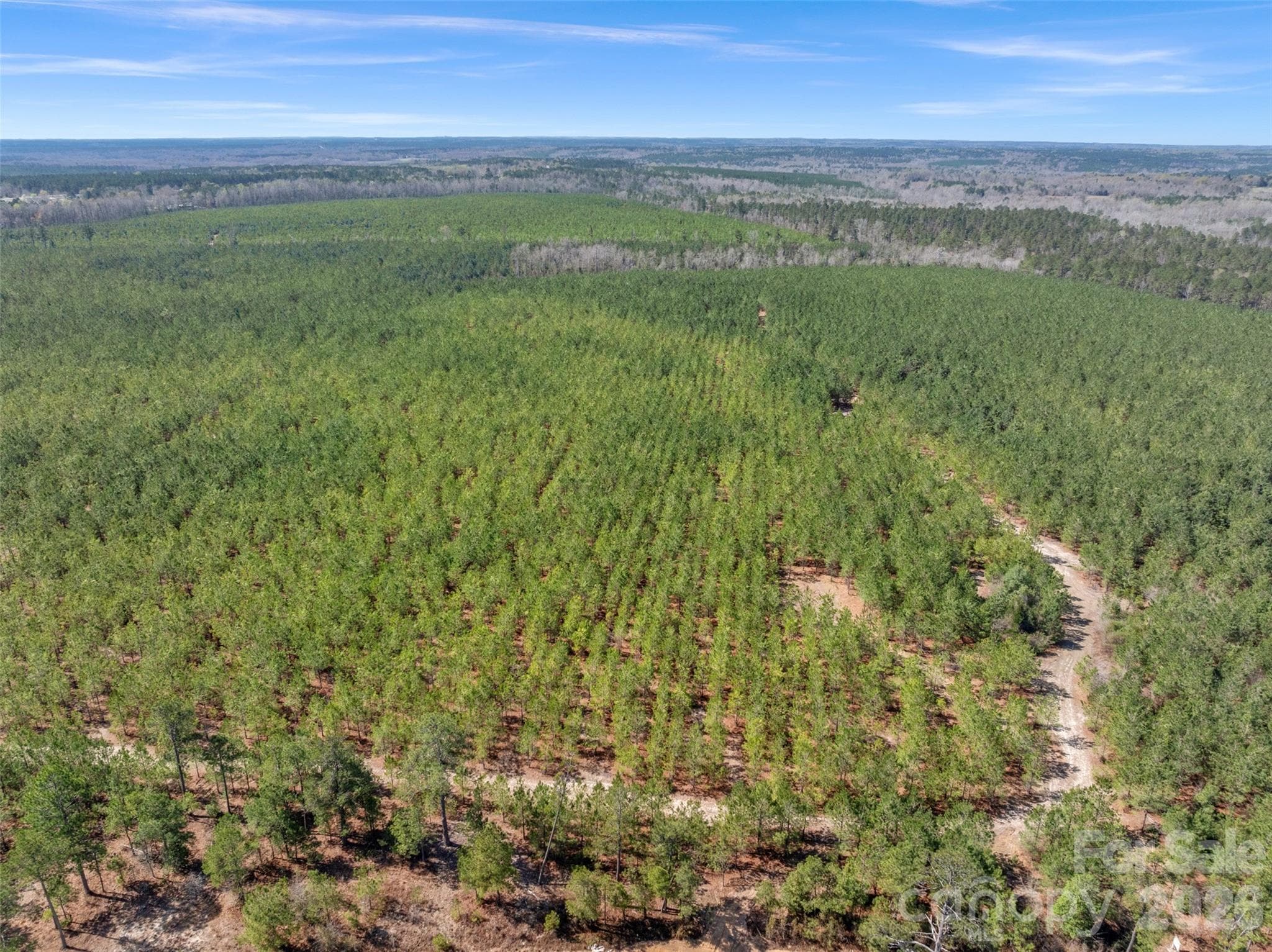 Acreage at 931 Charlie Johnson Road, Kershaw, photo 3 of 35