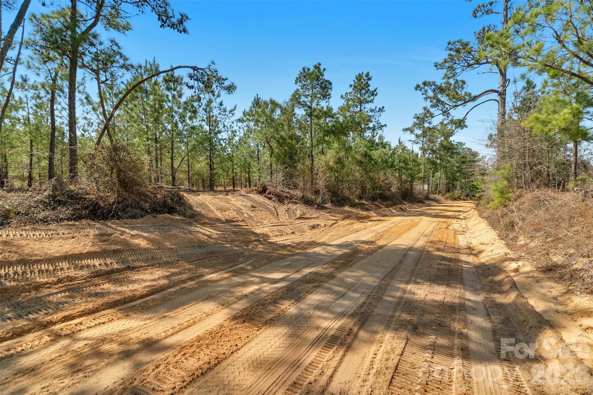 Acreage at 931 Charlie Johnson Road, Kershaw, photo 5 of 35