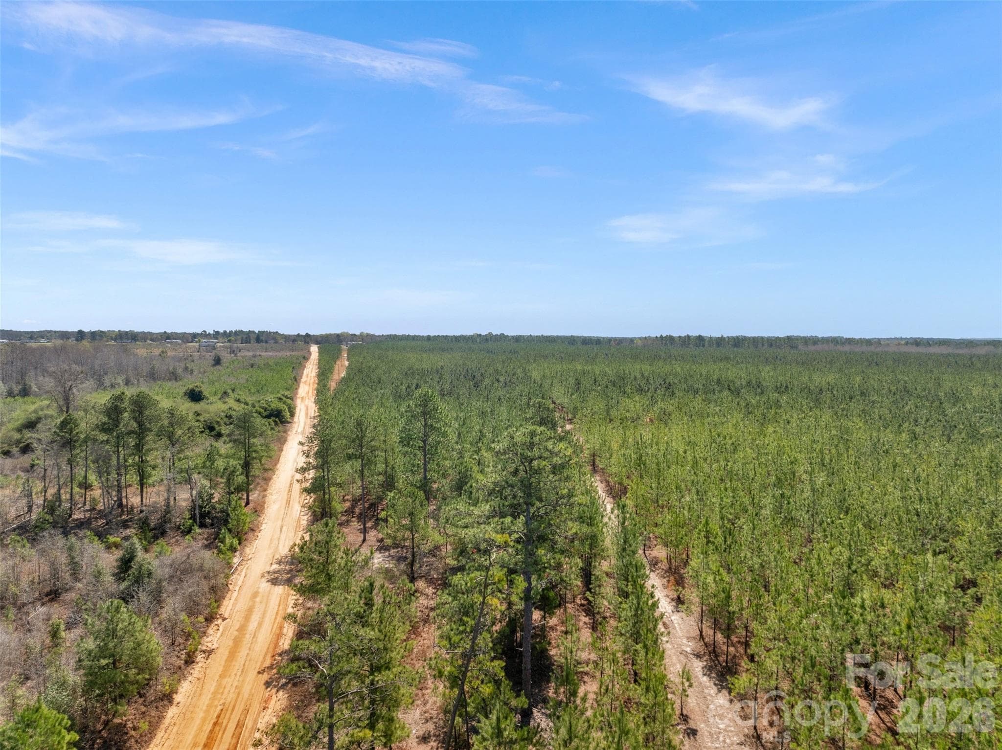 Acreage at 931 Charlie Johnson Road, Kershaw, photo 6 of 35