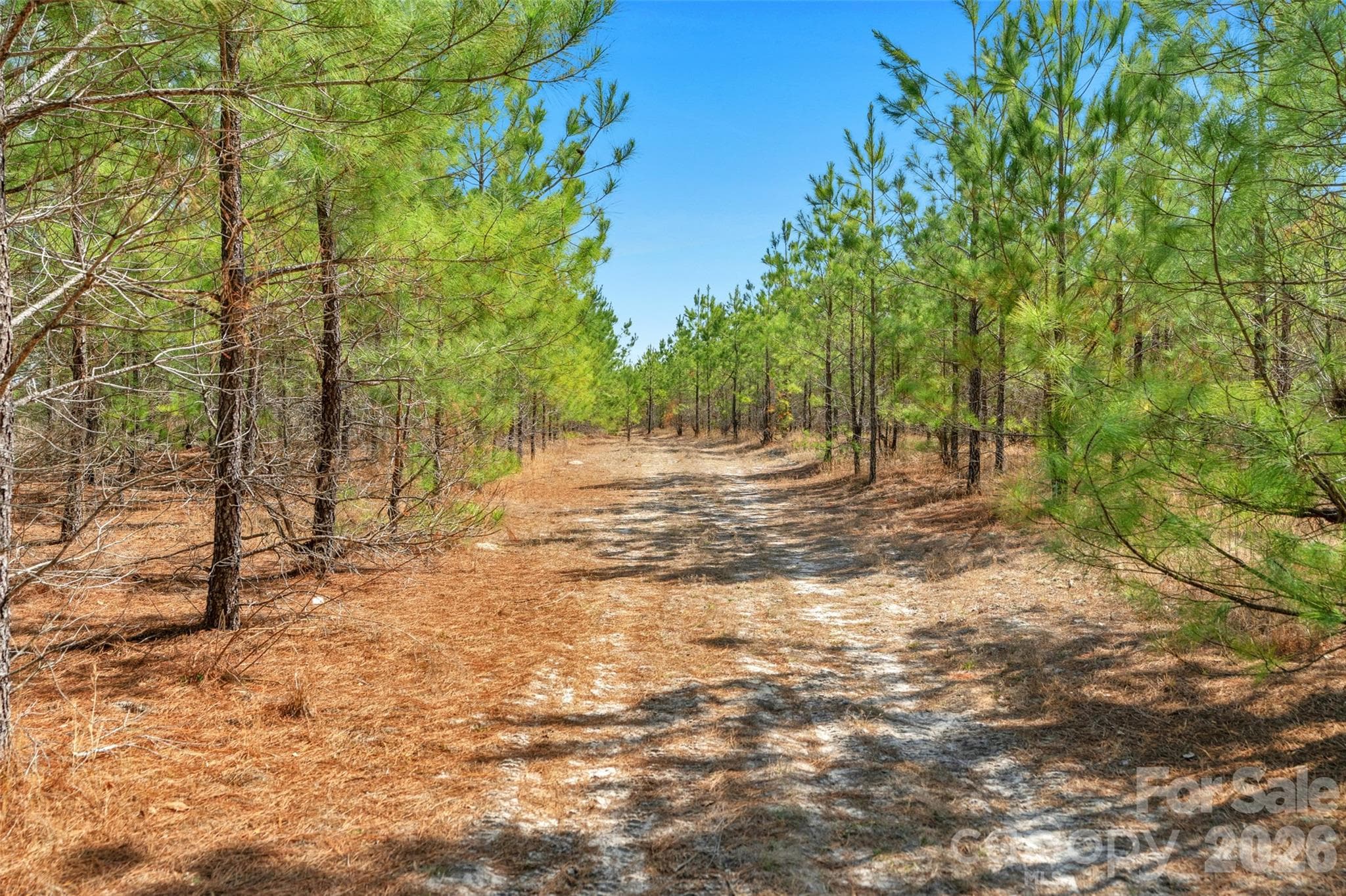 Acreage at 931 Charlie Johnson Road, Kershaw, photo 7 of 35