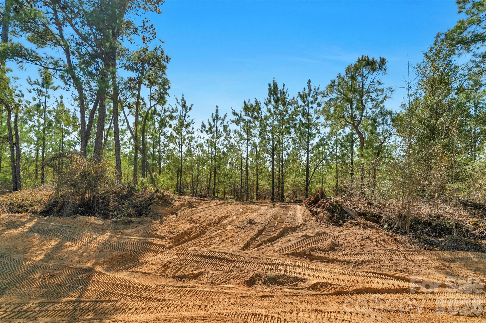 Acreage at 931 Charlie Johnson Road, Kershaw, photo 9 of 35