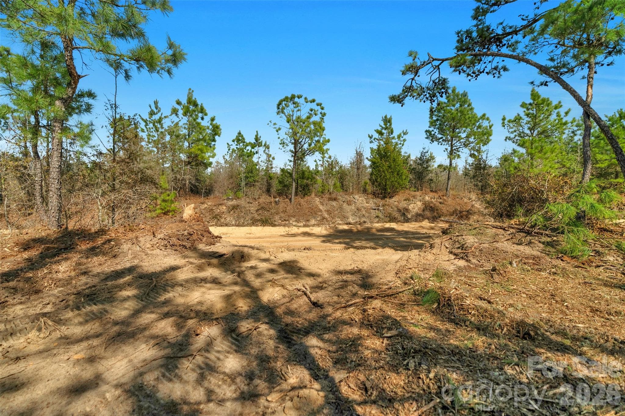 Acreage at 931 Charlie Johnson Road, Kershaw, photo 11 of 35