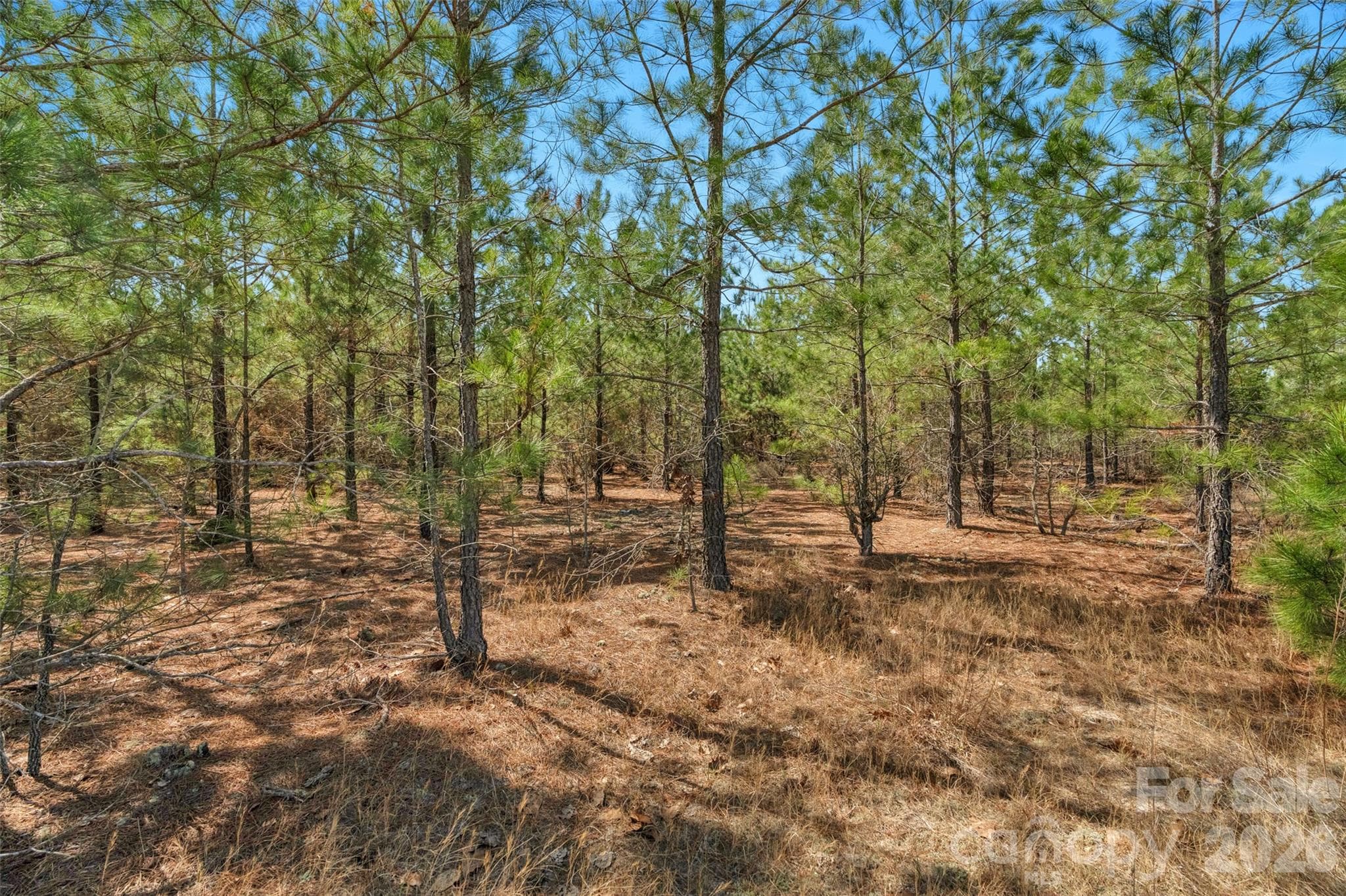 Acreage at 931 Charlie Johnson Road, Kershaw, photo 15 of 35