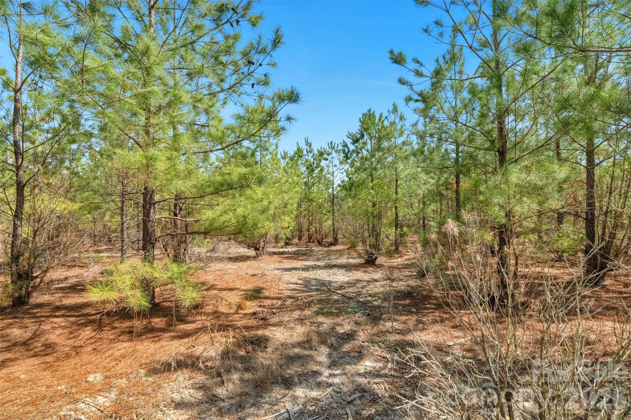 Acreage at 931 Charlie Johnson Road, Kershaw, photo 19 of 35
