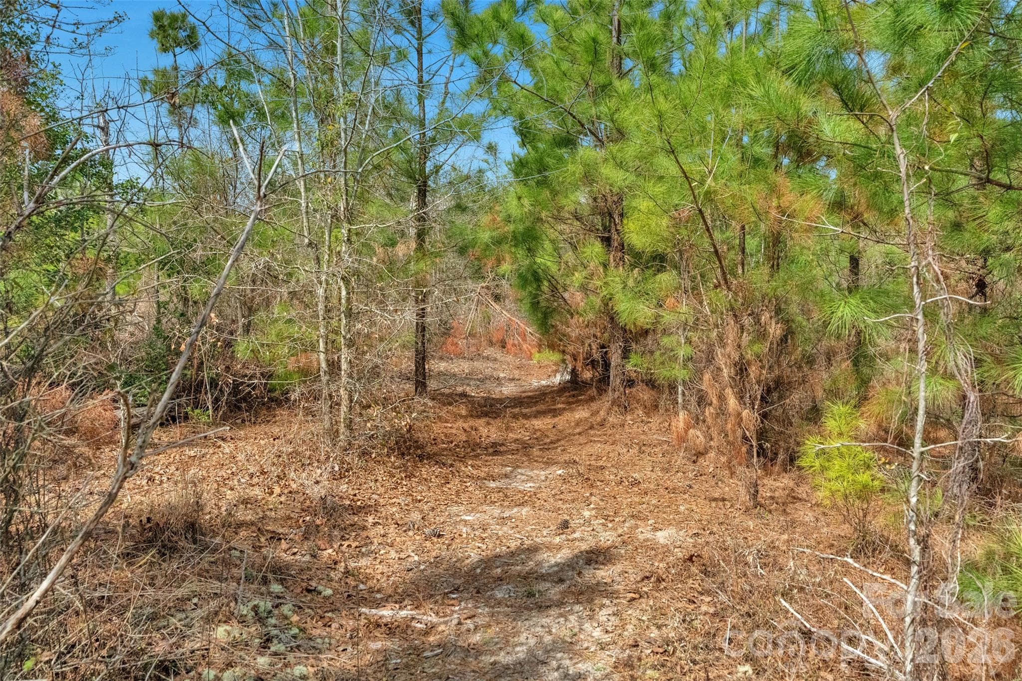 Acreage at 931 Charlie Johnson Road, Kershaw, photo 24 of 35