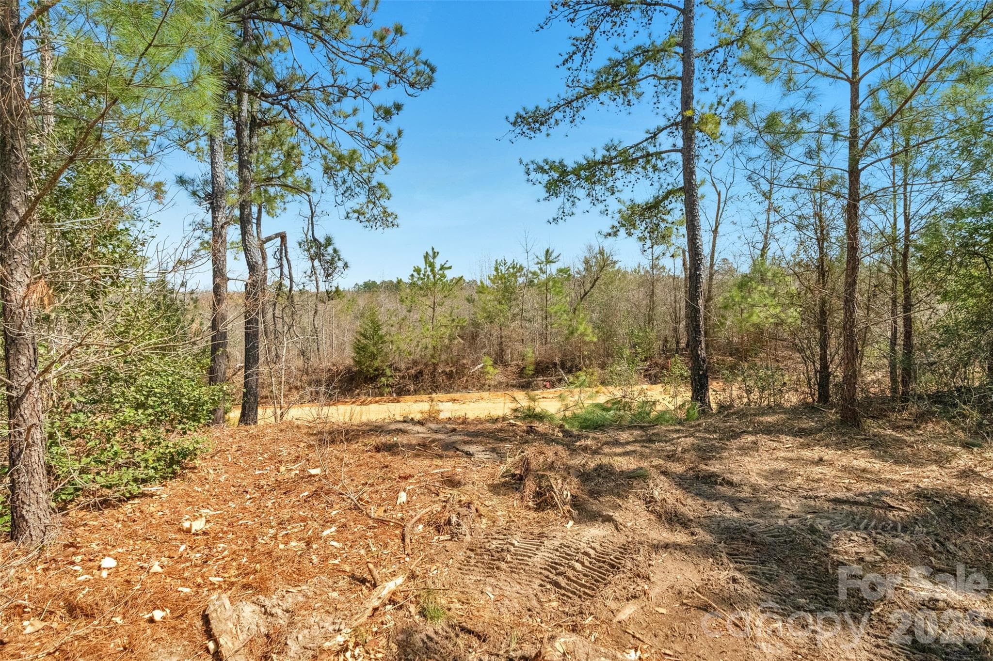 Acreage at 931 Charlie Johnson Road, Kershaw, photo 31 of 35