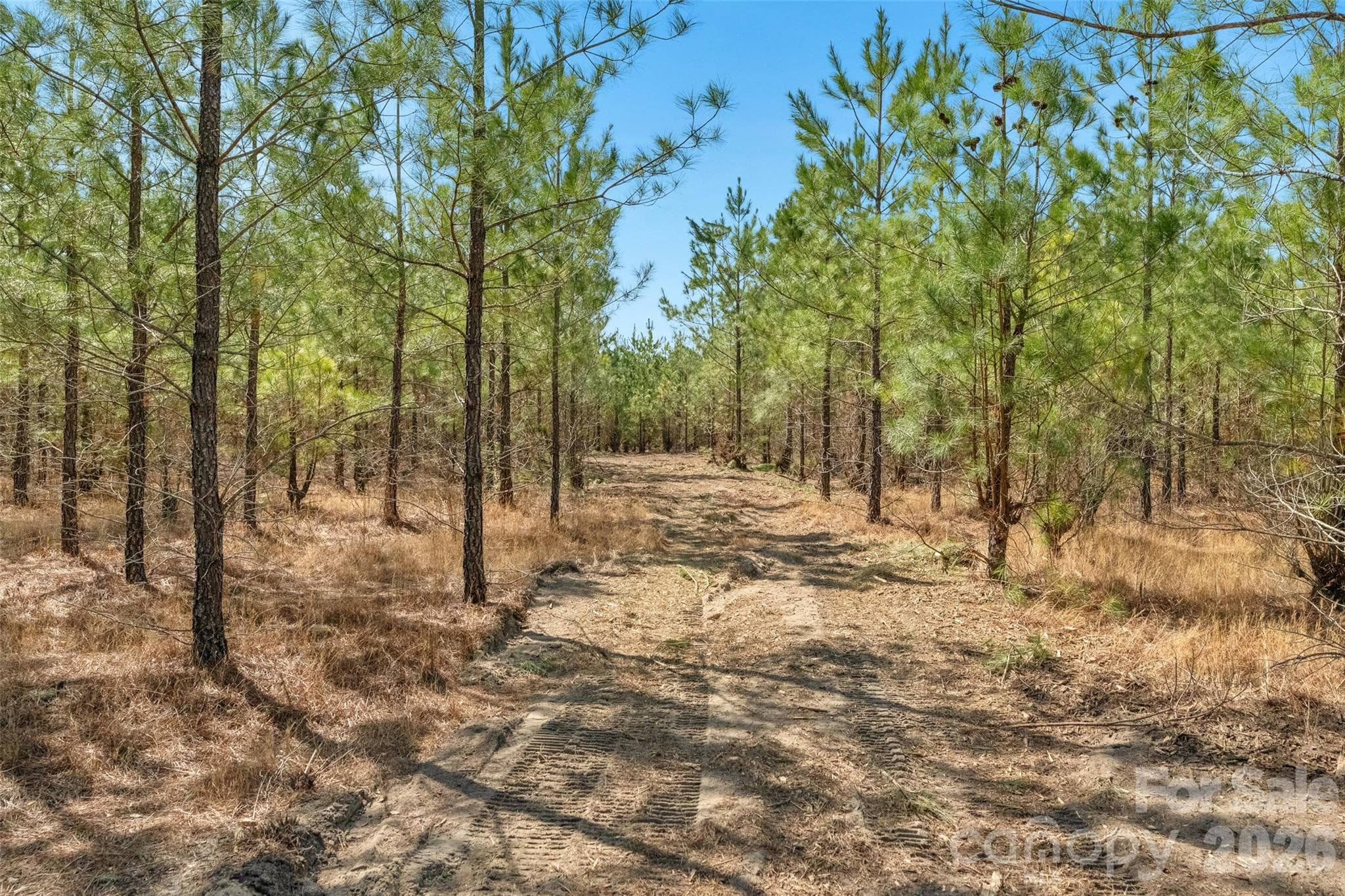 Acreage at 931 Charlie Johnson Road, Kershaw, photo 32 of 35