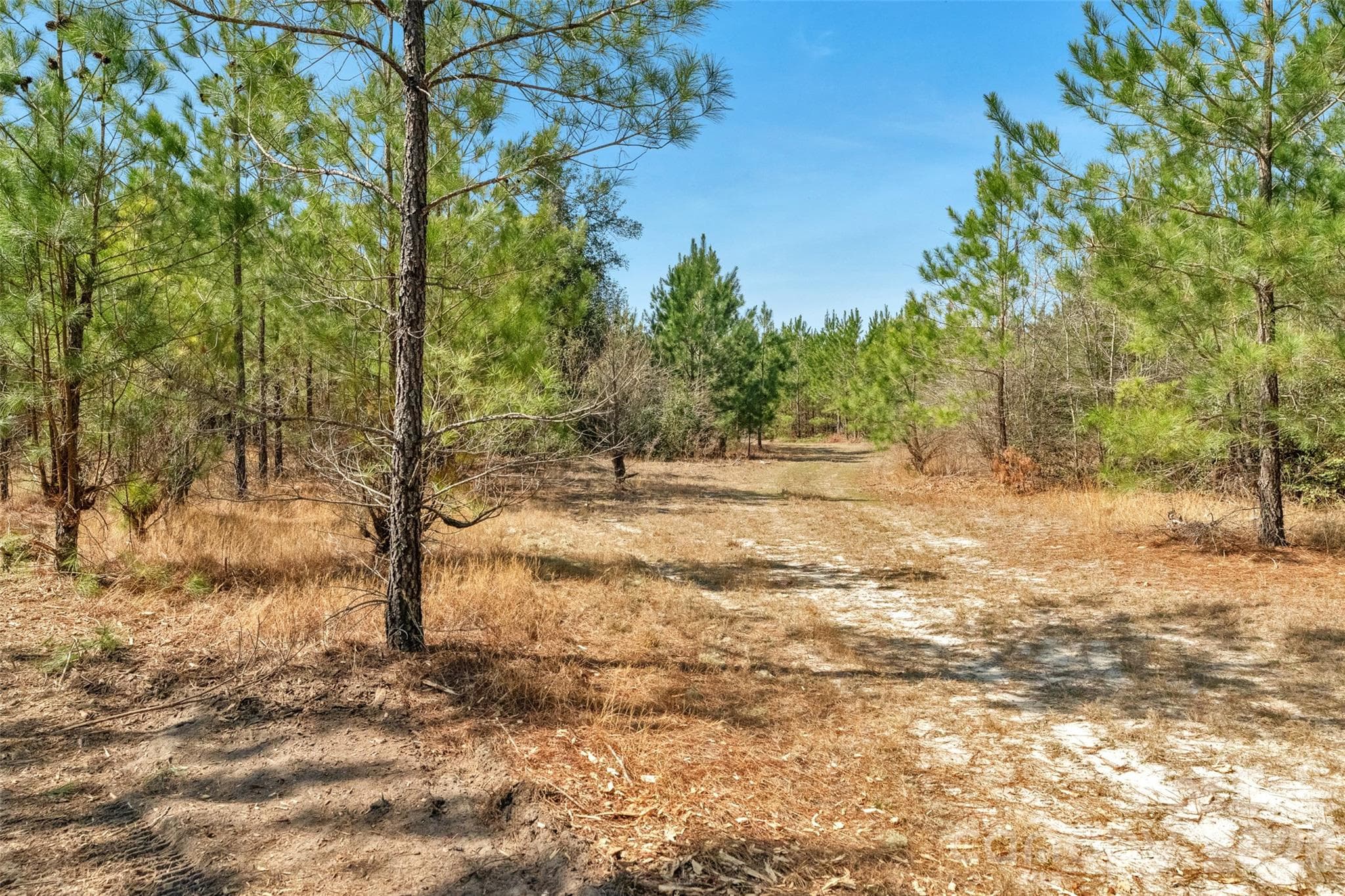 Acreage at 931 Charlie Johnson Road, Kershaw, photo 33 of 35
