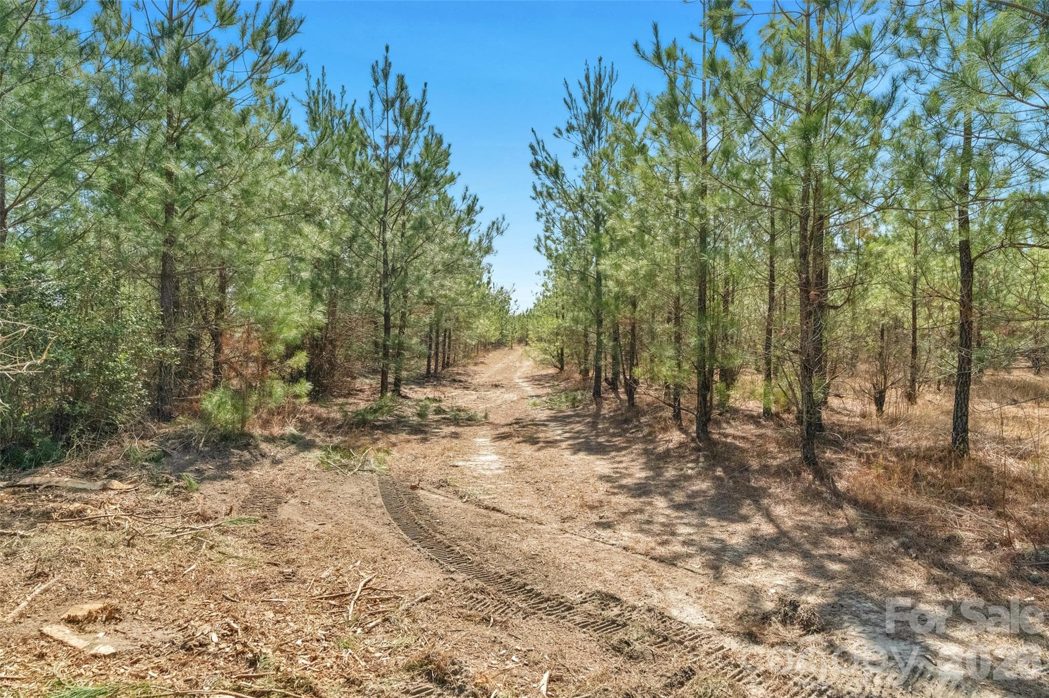 Acreage at 931 Charlie Johnson Road, Kershaw, photo 35 of 35