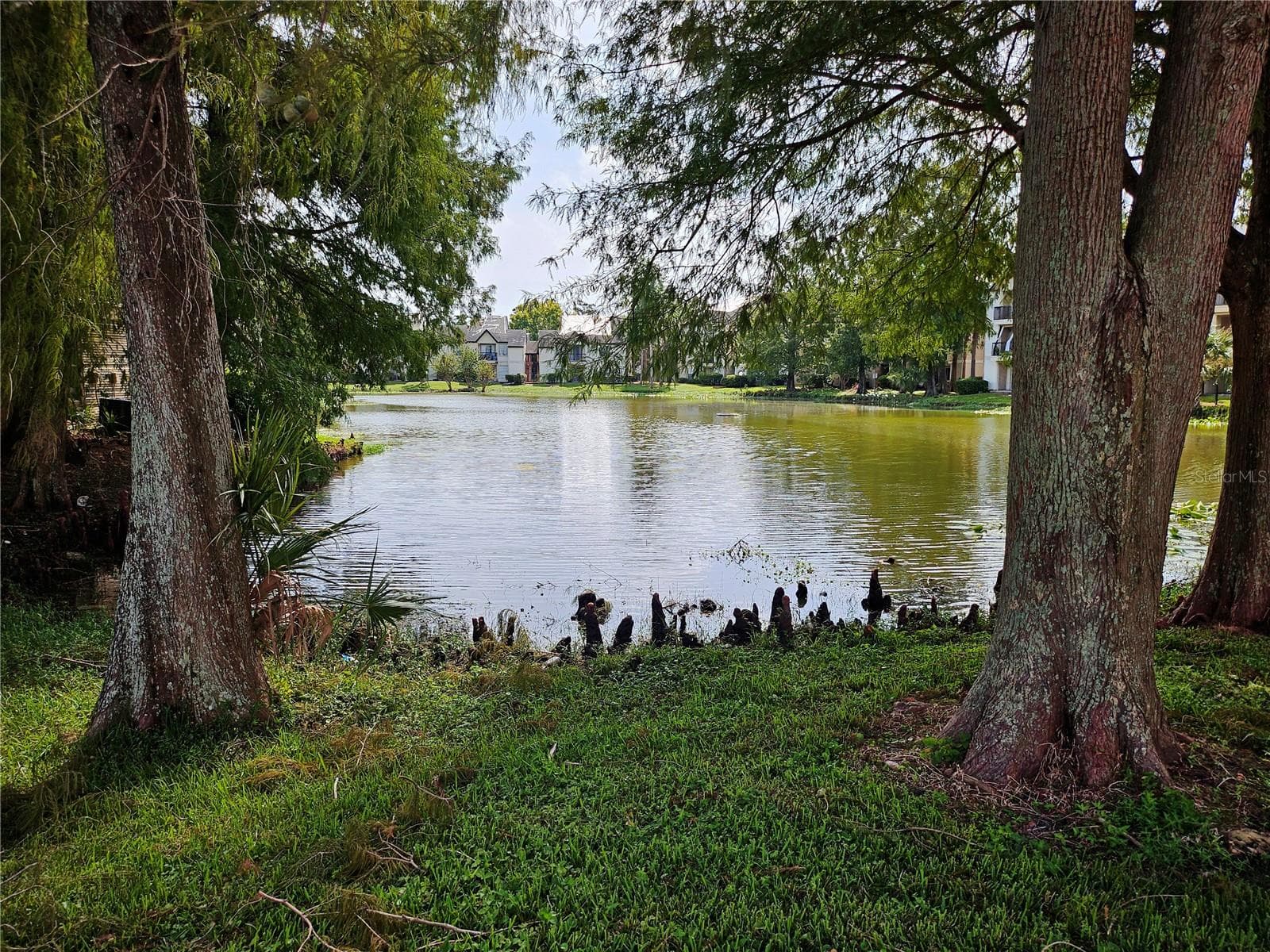 Condominium at 1916 LAKE ATRIUMS CIR #25, ORLANDO, photo 11 of 12