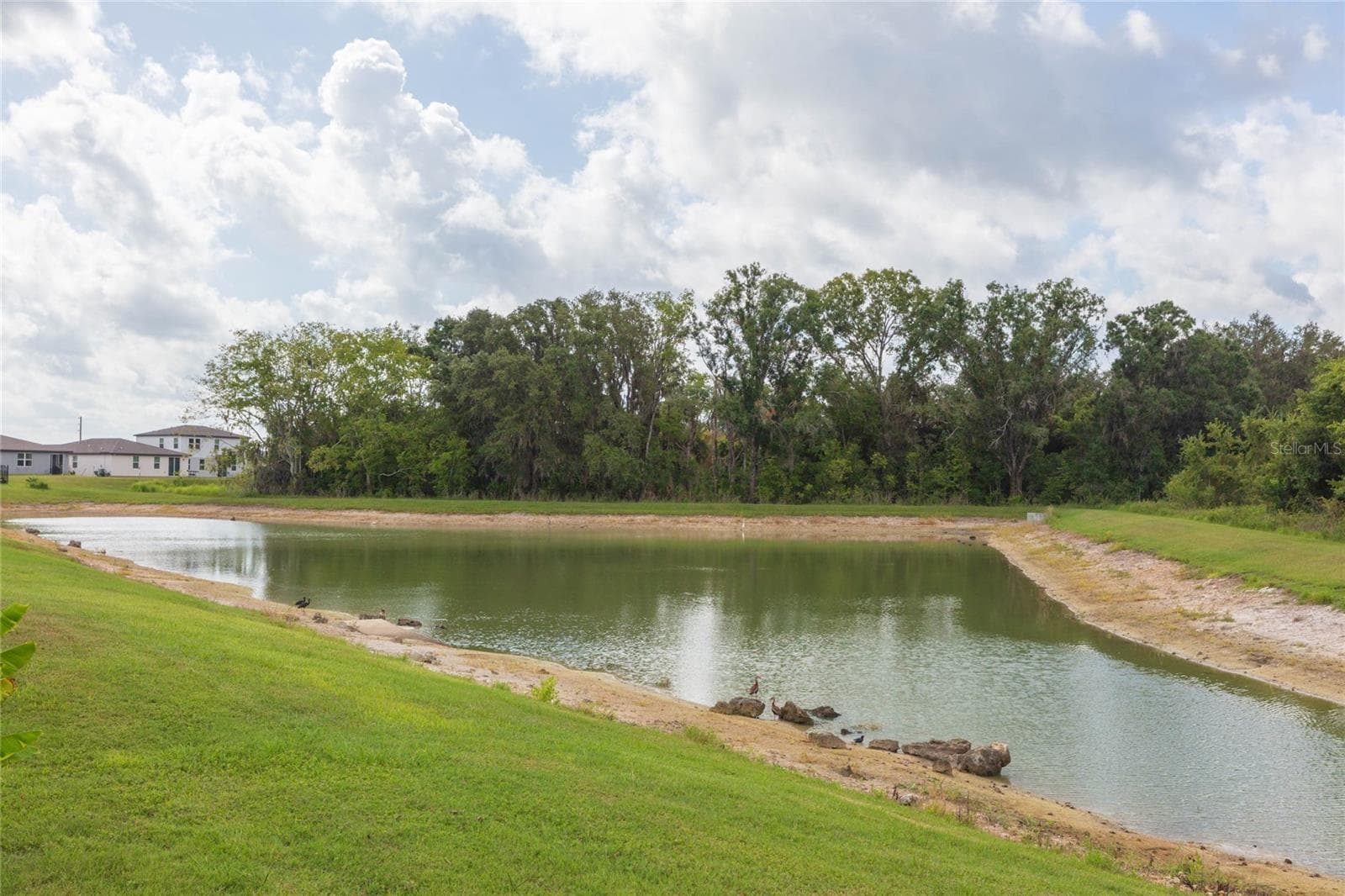 Single Family Residence at 38794 OPAL WILLOW LN, ZEPHYRHILLS, photo 43 of 54
