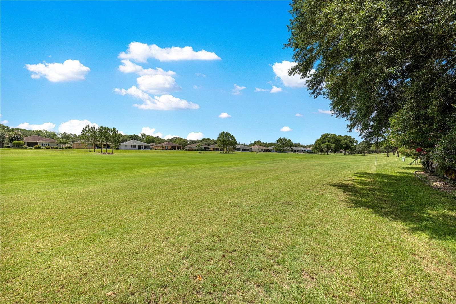 Golf Course view - 9037 SW 91ST CIR, OCALA