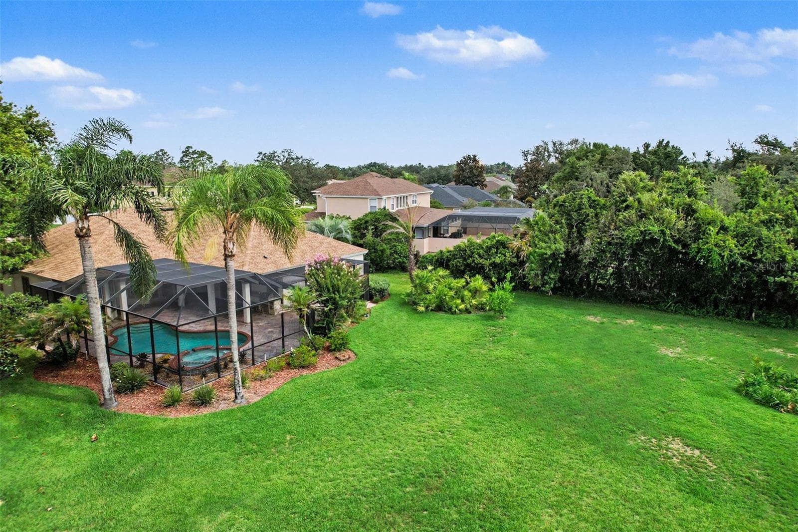 Rear view - 2912 HAMPTON PLACE CT, PLANT CITY