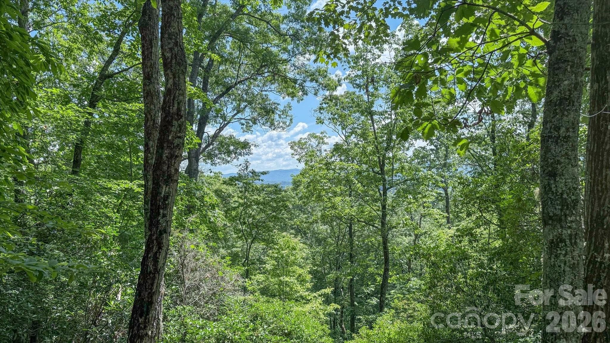 TBD Stone Drive