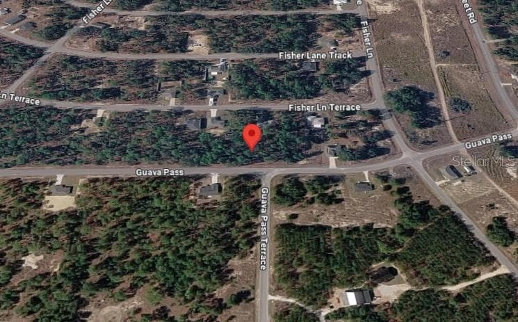 Land at 9037-1222-05, OCKLAWAHA, photo 3 of 3