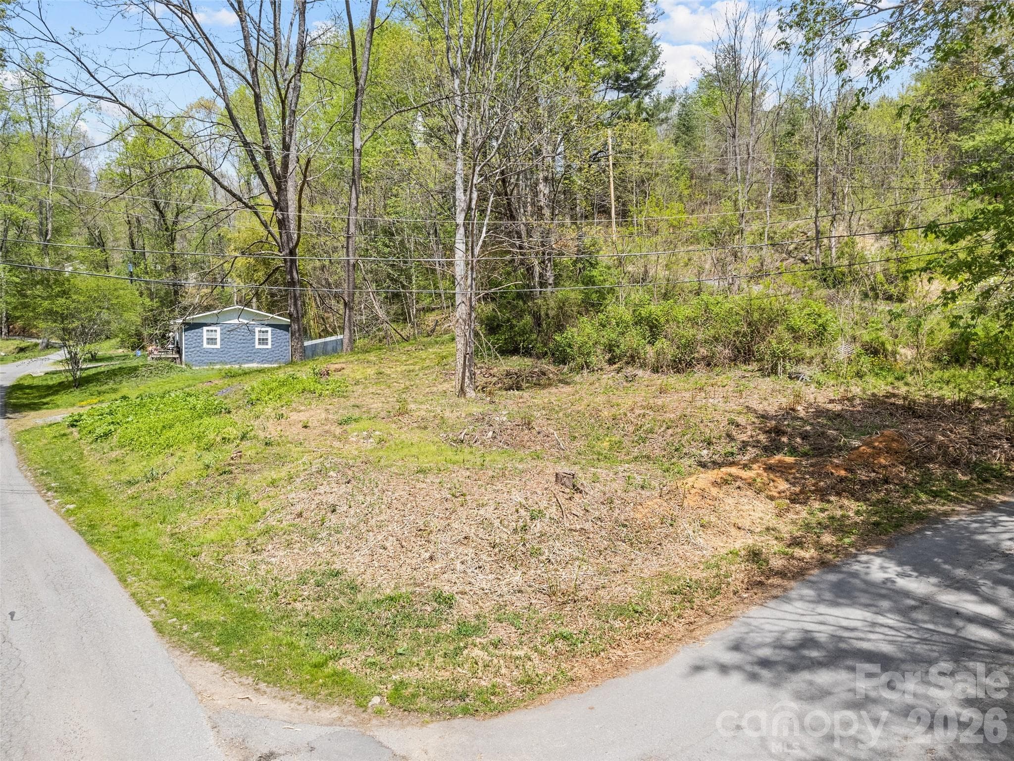 Lot at Waynesville, photo 2 of 10