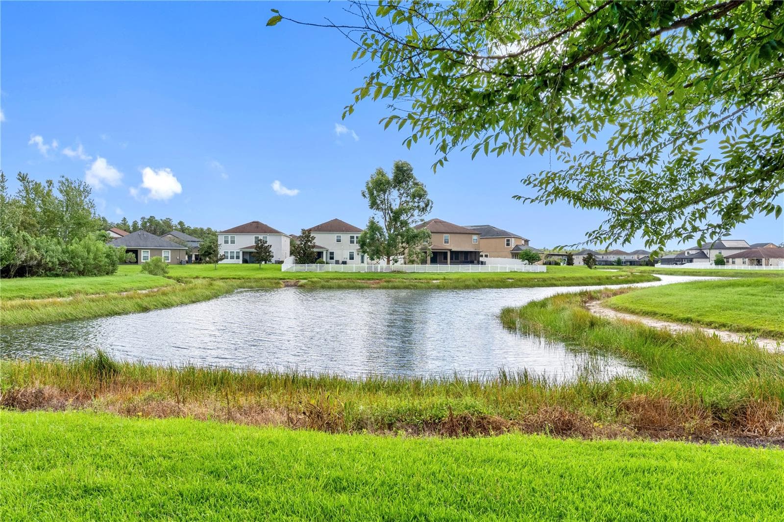 Backyard with pond view - 19343 PADDOCK VIEW DR, TAMPA