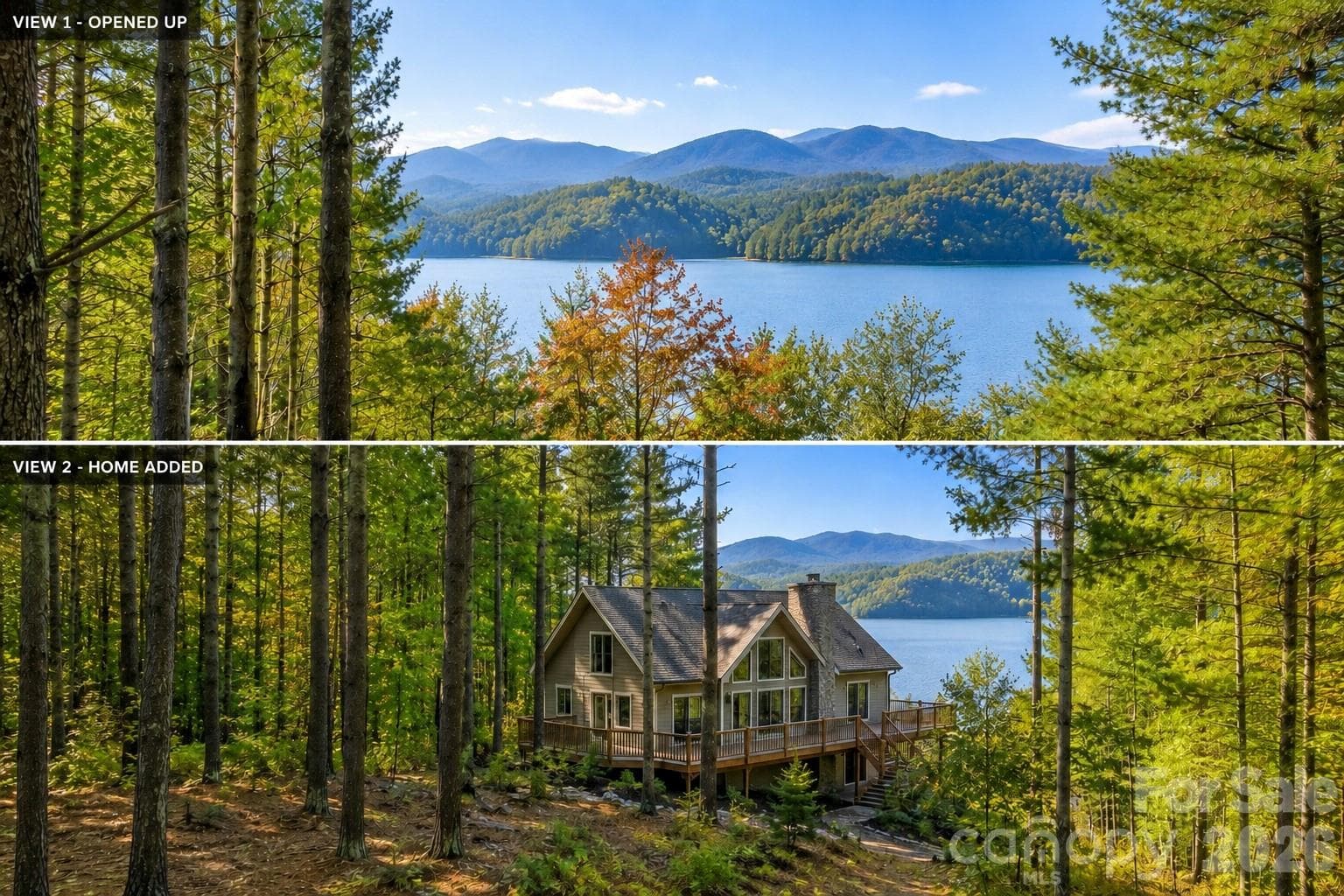 AI GENERATED with views opened up and a home added to the lot to see how it could be. - Nebo
