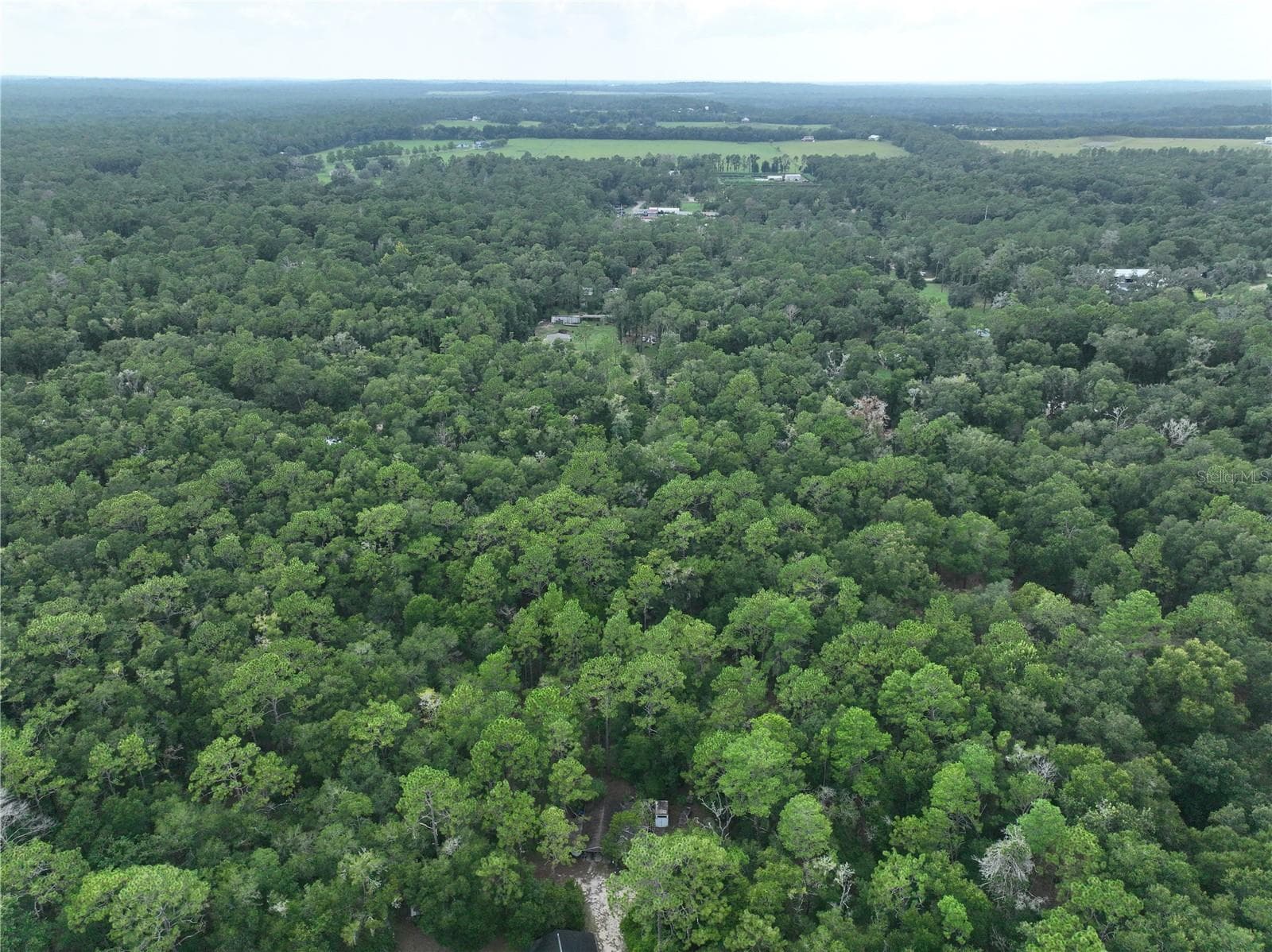 Land at 13205 S CRATER TER, FLORAL CITY, photo 13 of 19