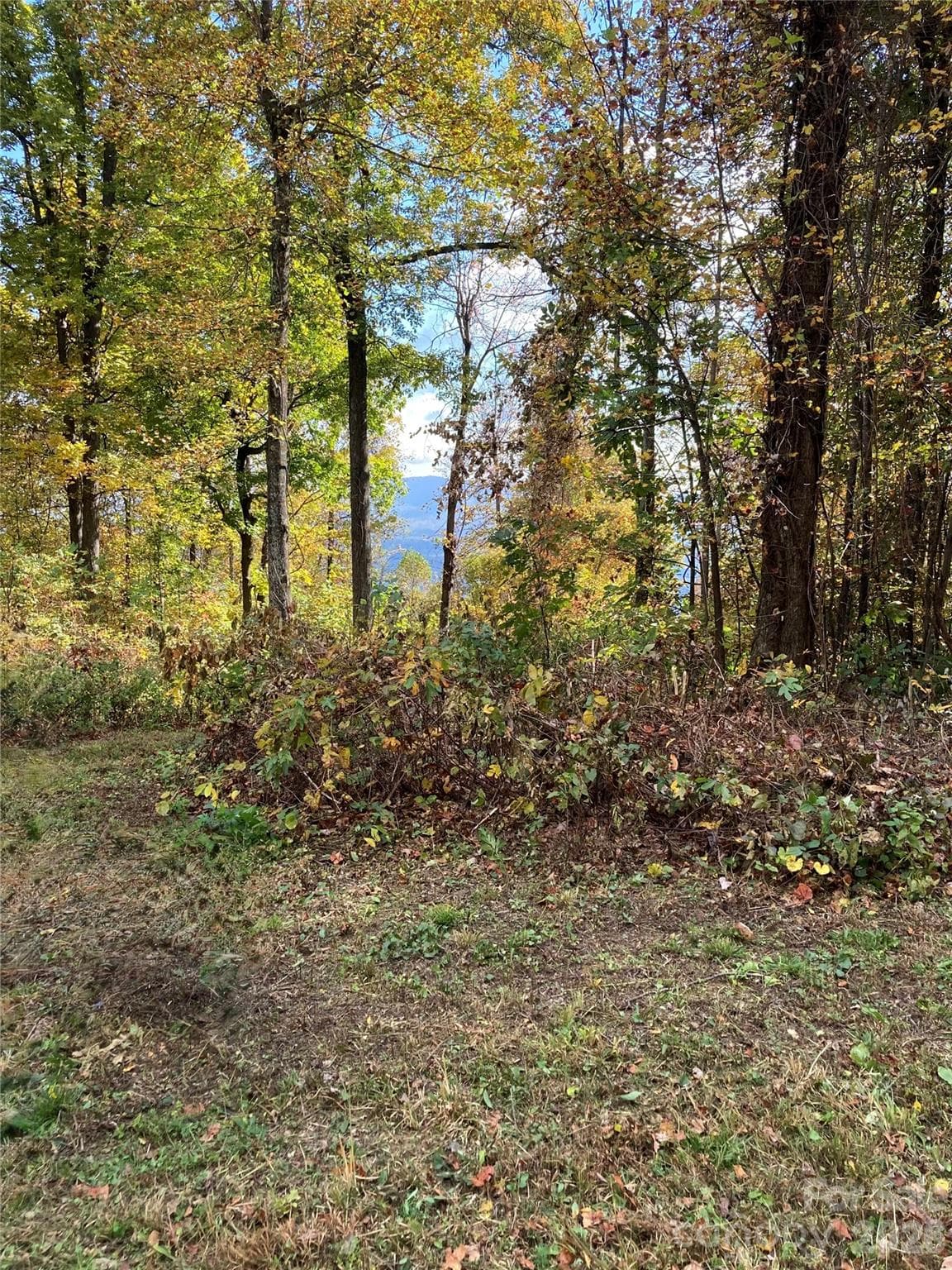 Lot at 2523 Creston Drive, Black Mountain, photo 2 of 34