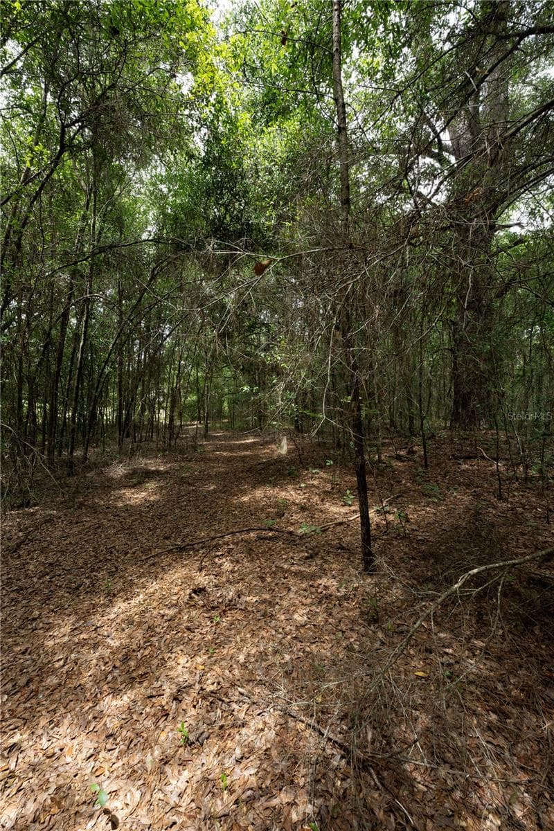 Land at TBD SE 55TH ST, MORRISTON, photo 4 of 14