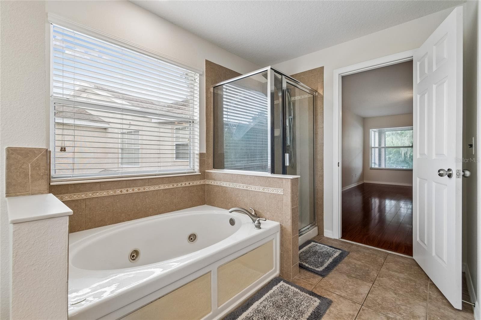 Single Family Residence at 11232 CREEK HAVEN DR, RIVERVIEW, photo 32 of 59