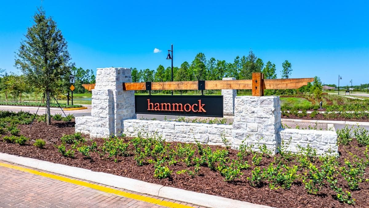 Hammock at Two Rivers Community - 1623 ANSON LN, ZEPHYRHILLS